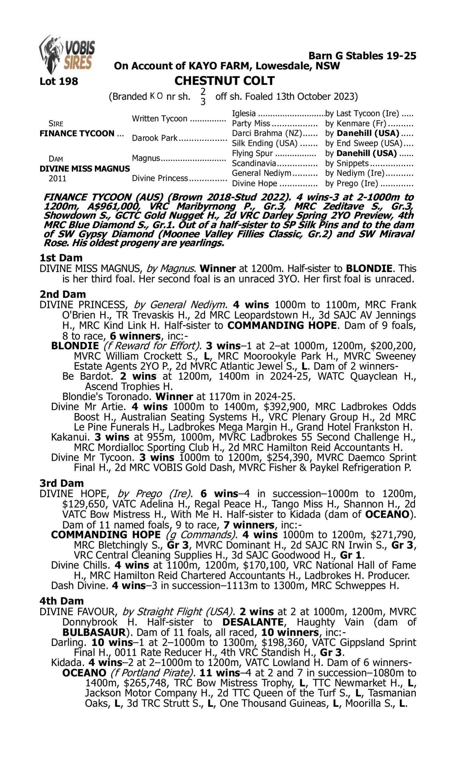Pedigree for Lot 198 Finance Tycoon - Divine Miss Magnus