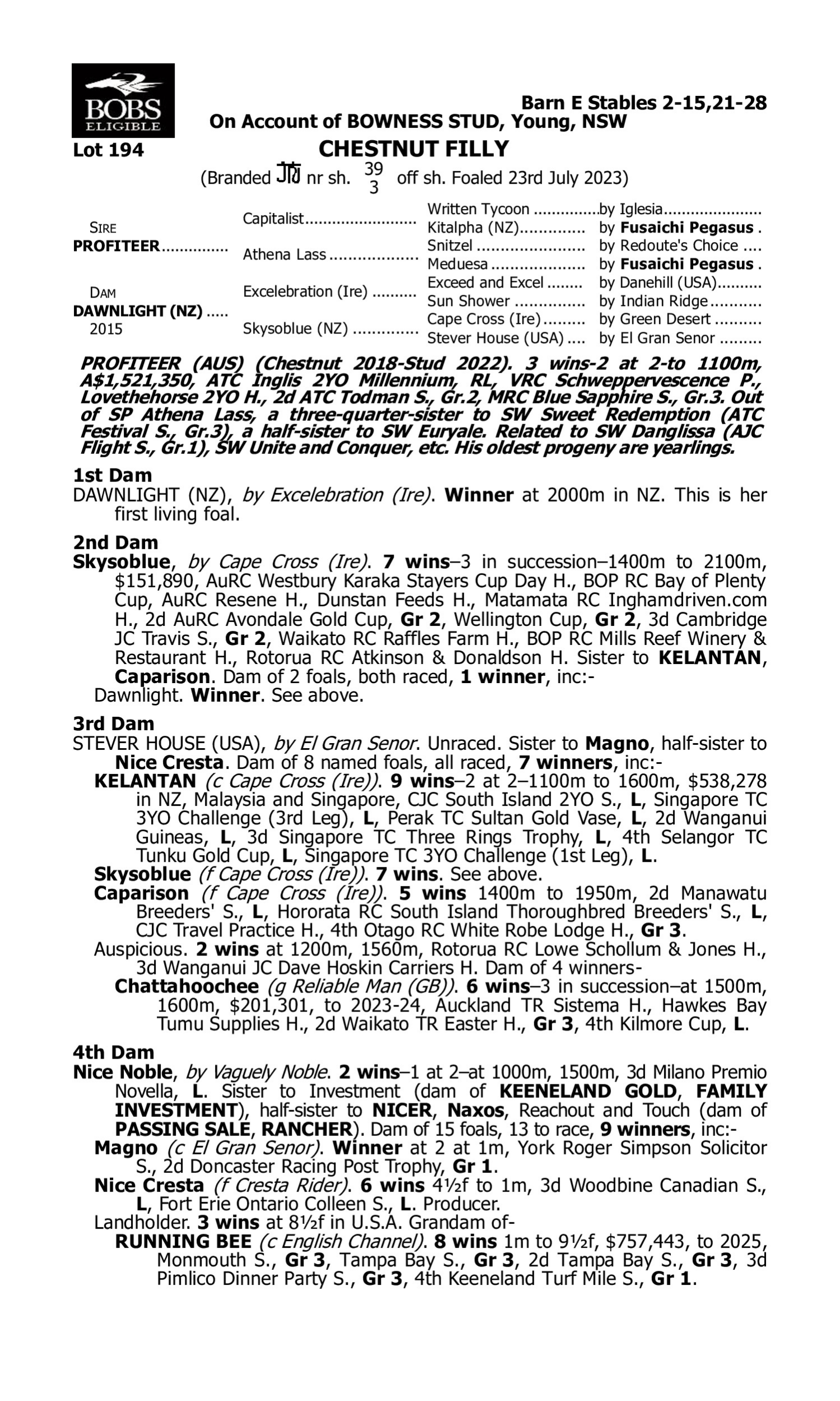 Pedigree for Lot 194 Profiteer - Dawnlight (NZ)