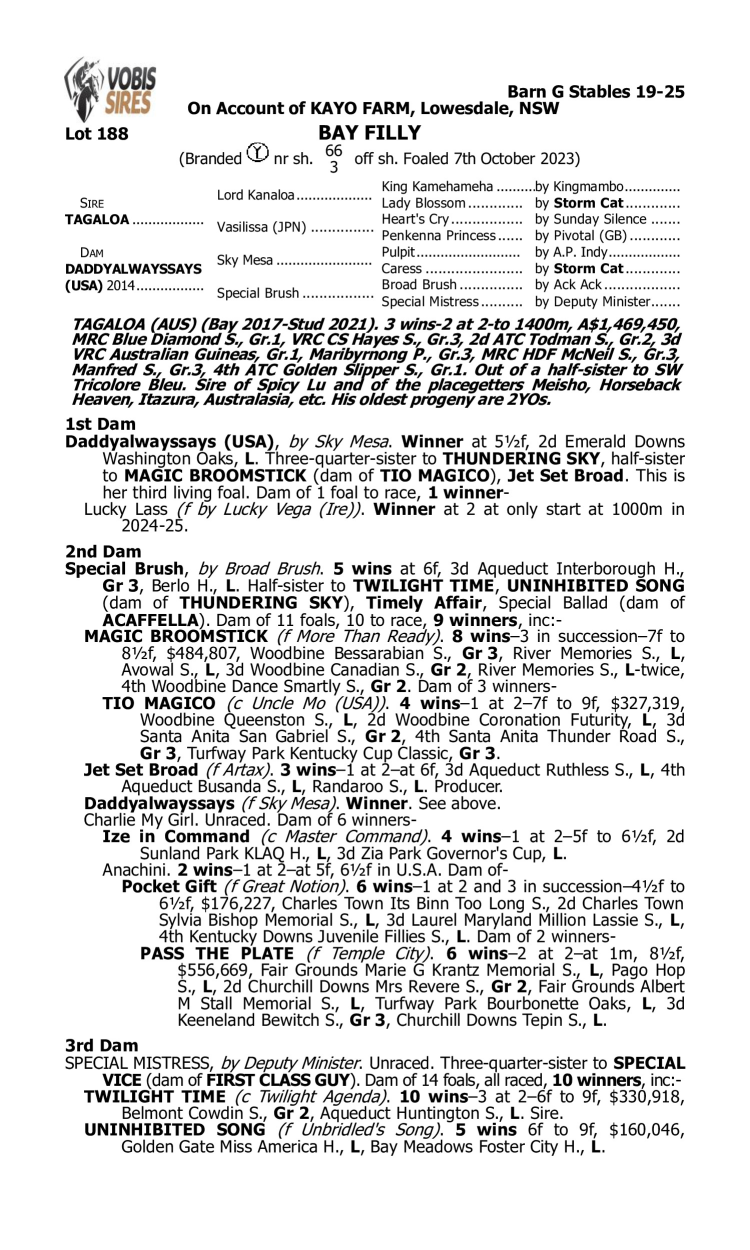Pedigree for Lot 188 Tagaloa - Daddyalwayssays (USA)
