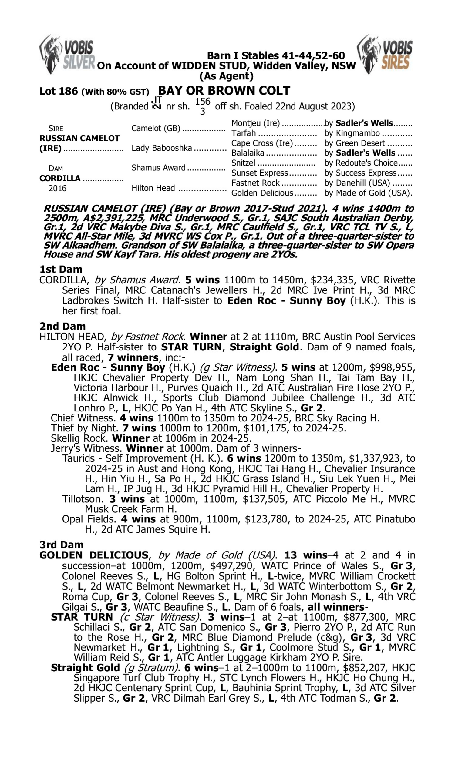 Pedigree for Lot 186 Russian Camelot (IRE) - Cordilla