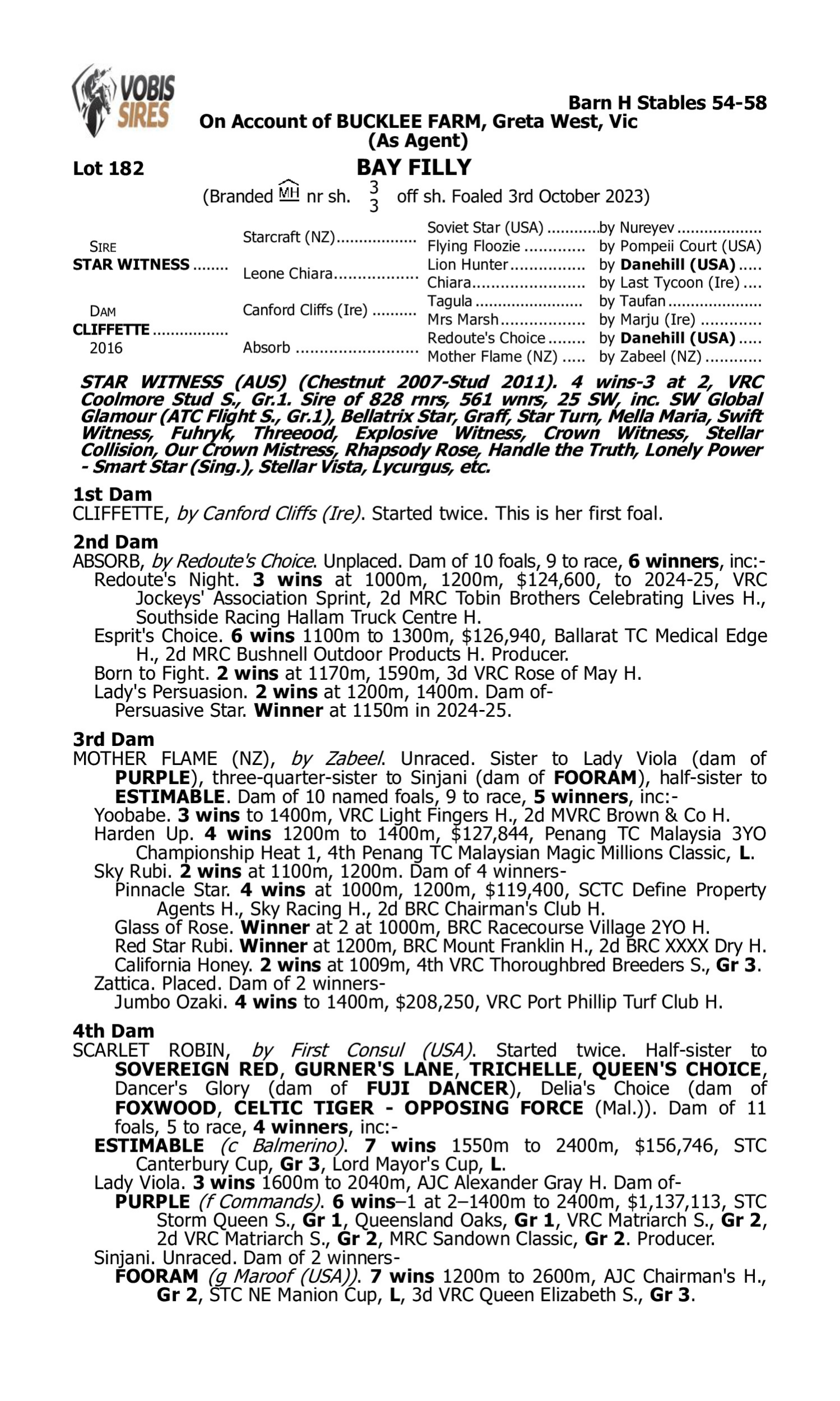 Pedigree for Lot 182 Star Witness - Cliffette