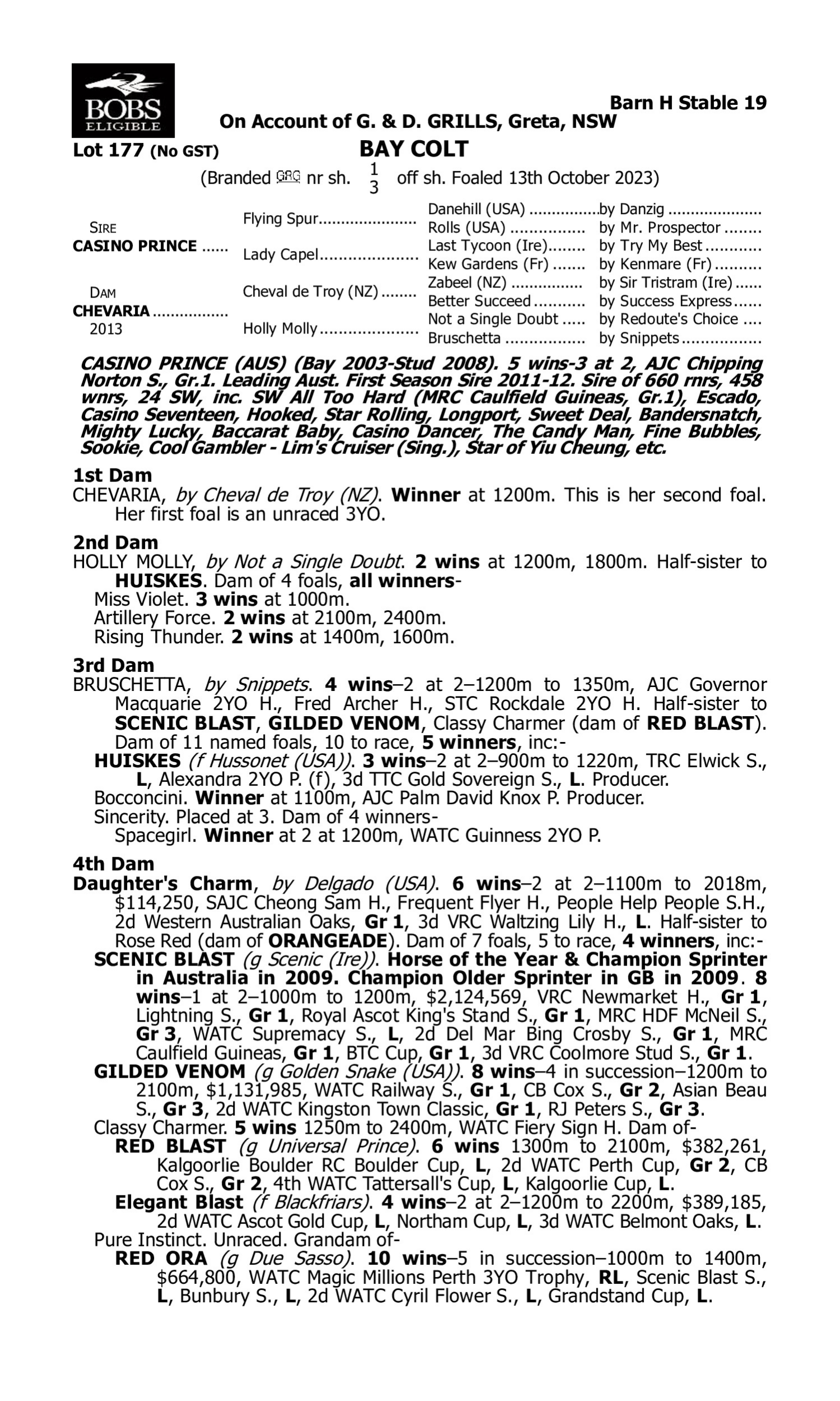 Pedigree for Lot 177 Casino Prince - Chevaria