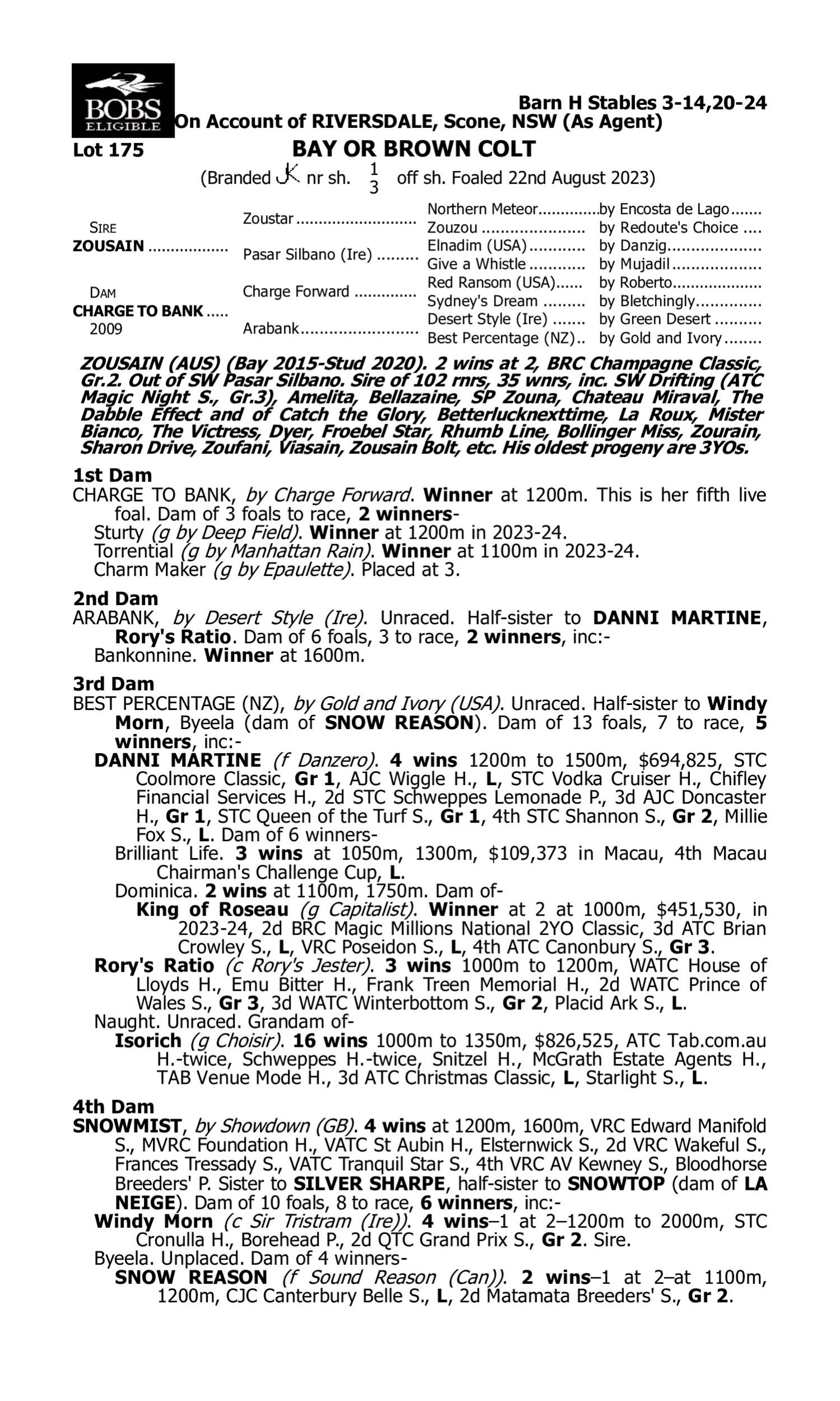 Pedigree for Lot 175 Zousain - Charge to Bank