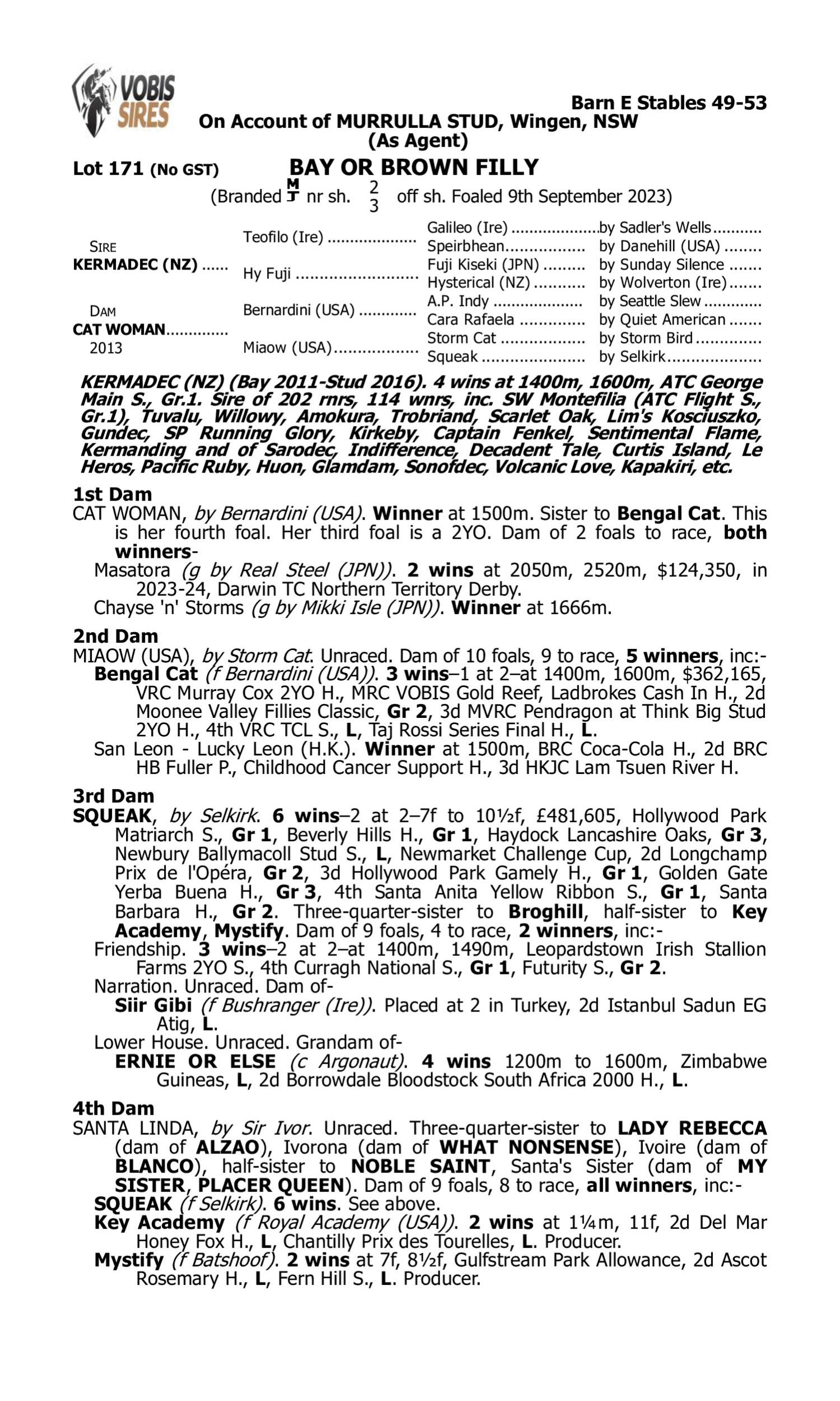Pedigree for Lot 171 Kermadec (NZ) - Cat Woman