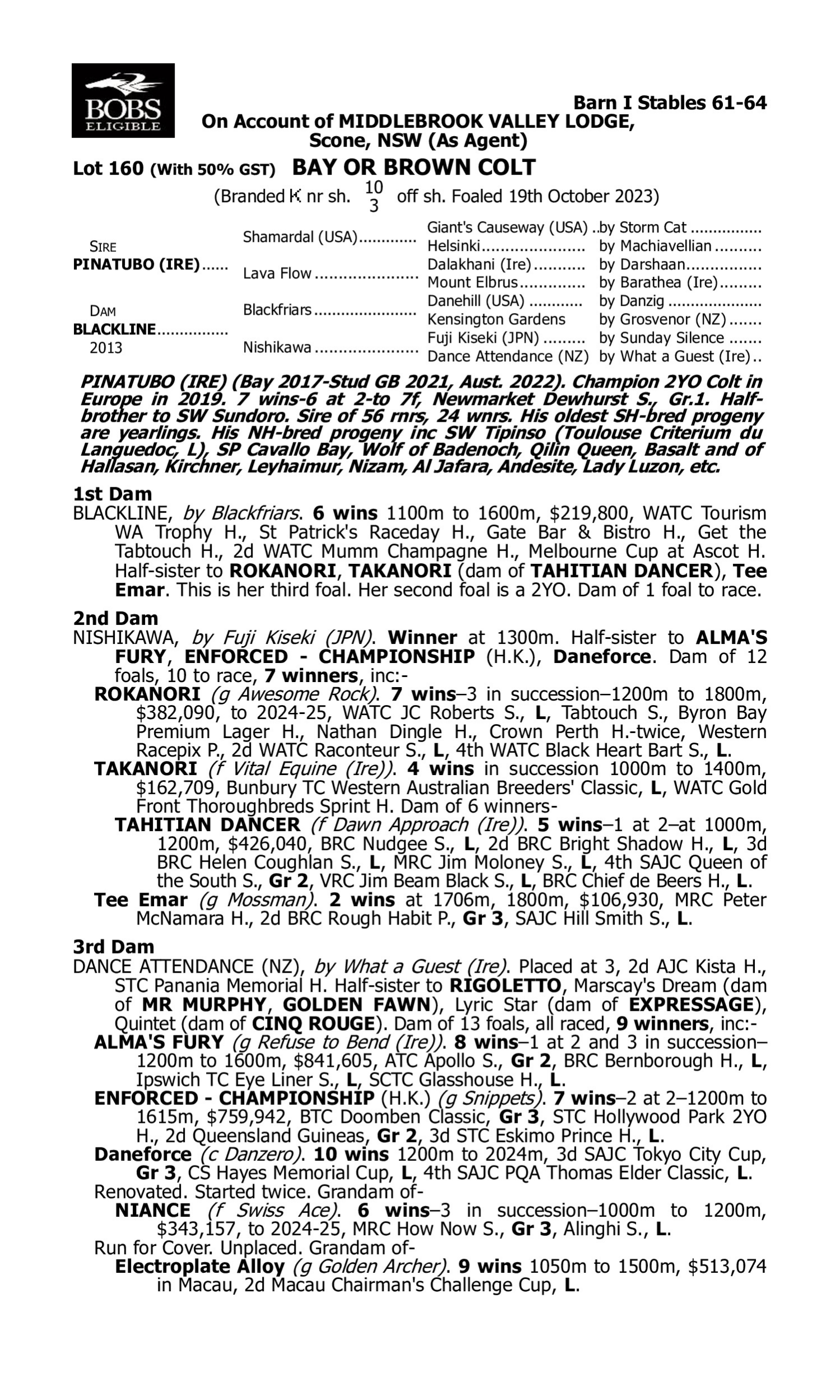 Pedigree for Lot 160 Pinatubo (IRE) - Blackline