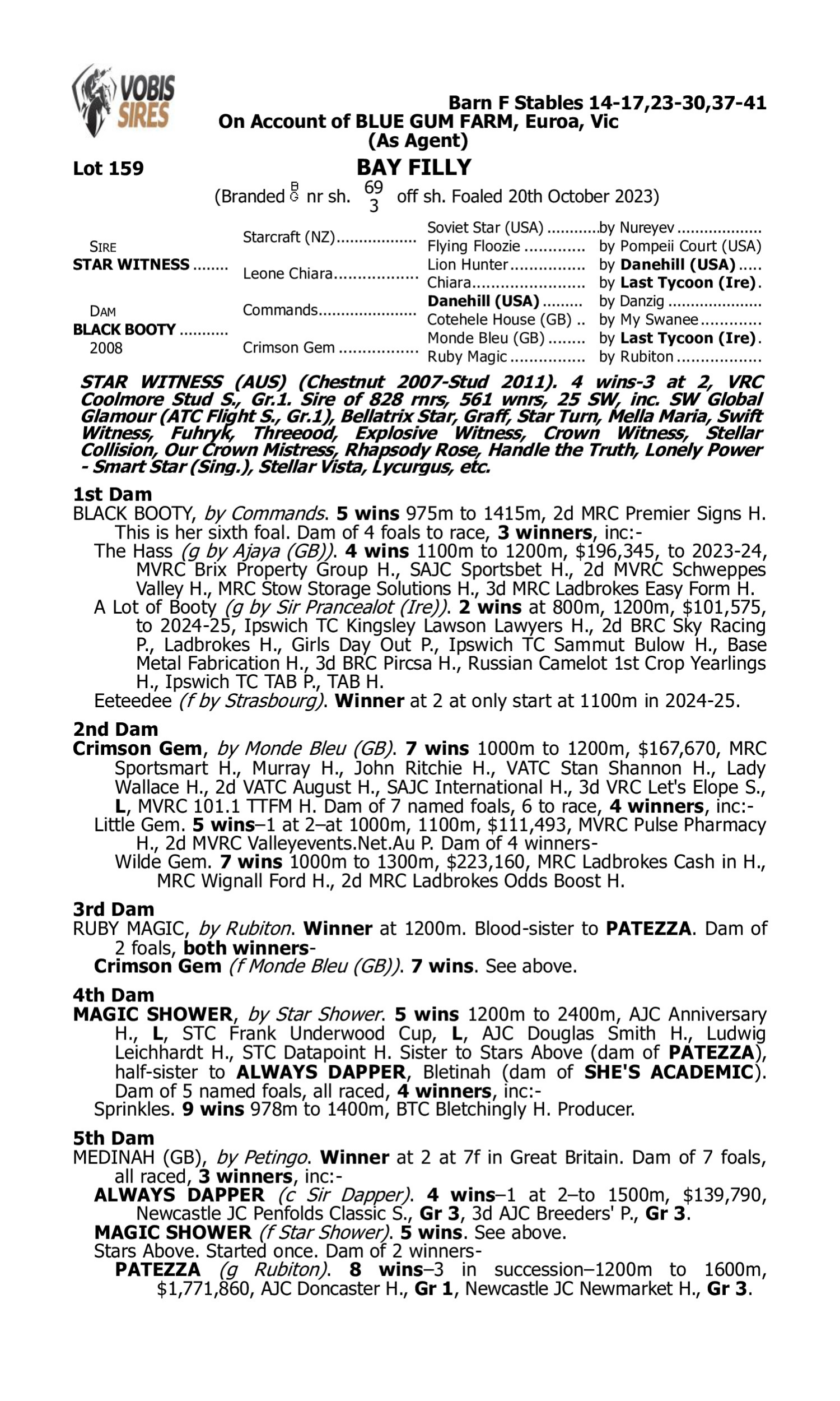 Pedigree for Lot 159 Star Witness - Black Booty