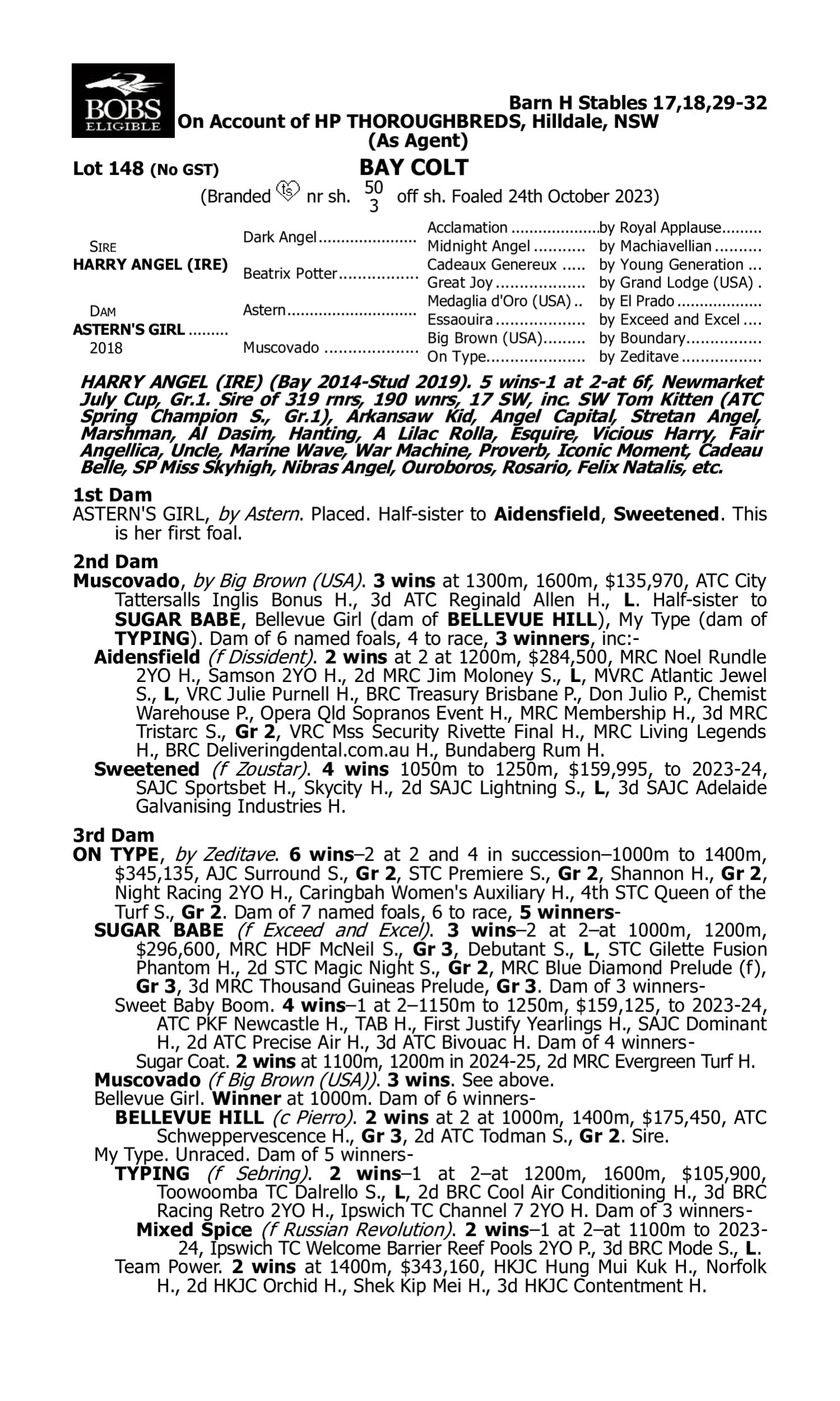 Pedigree for Lot 148 Harry Angel (IRE) - Astern's Girl