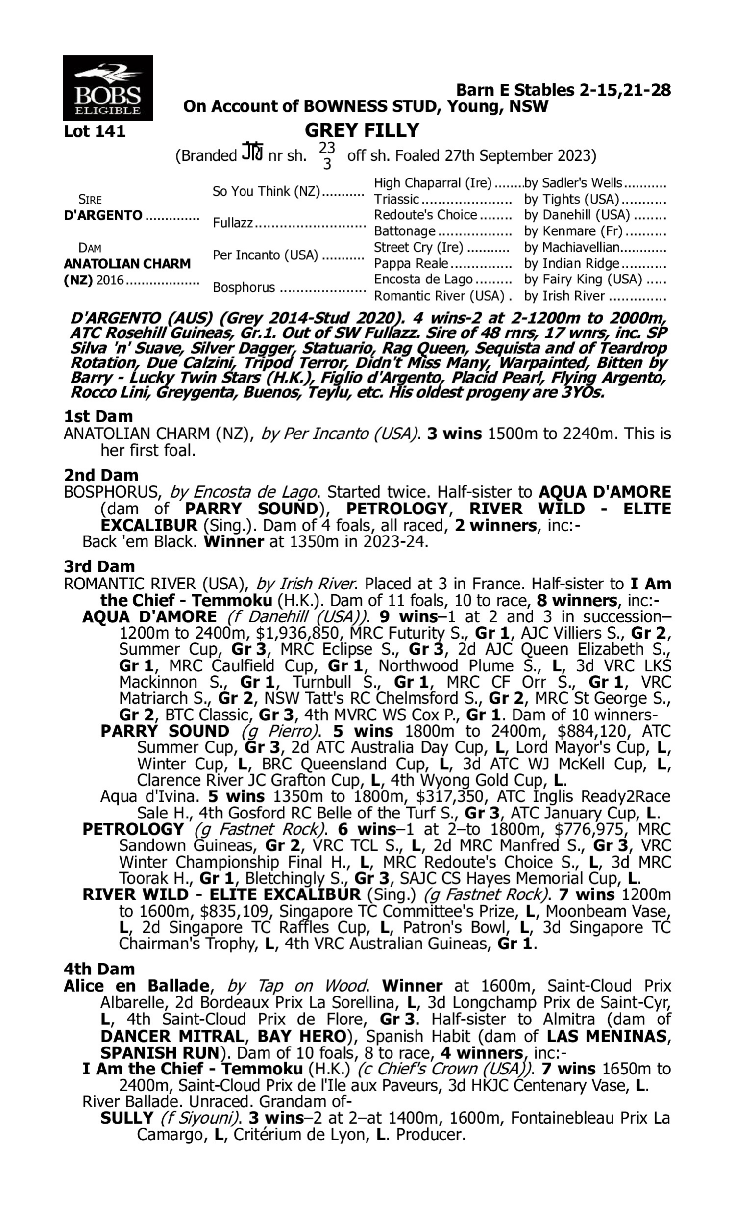 Pedigree for Lot 141 D'Argento - Anatolian Charm (NZ)