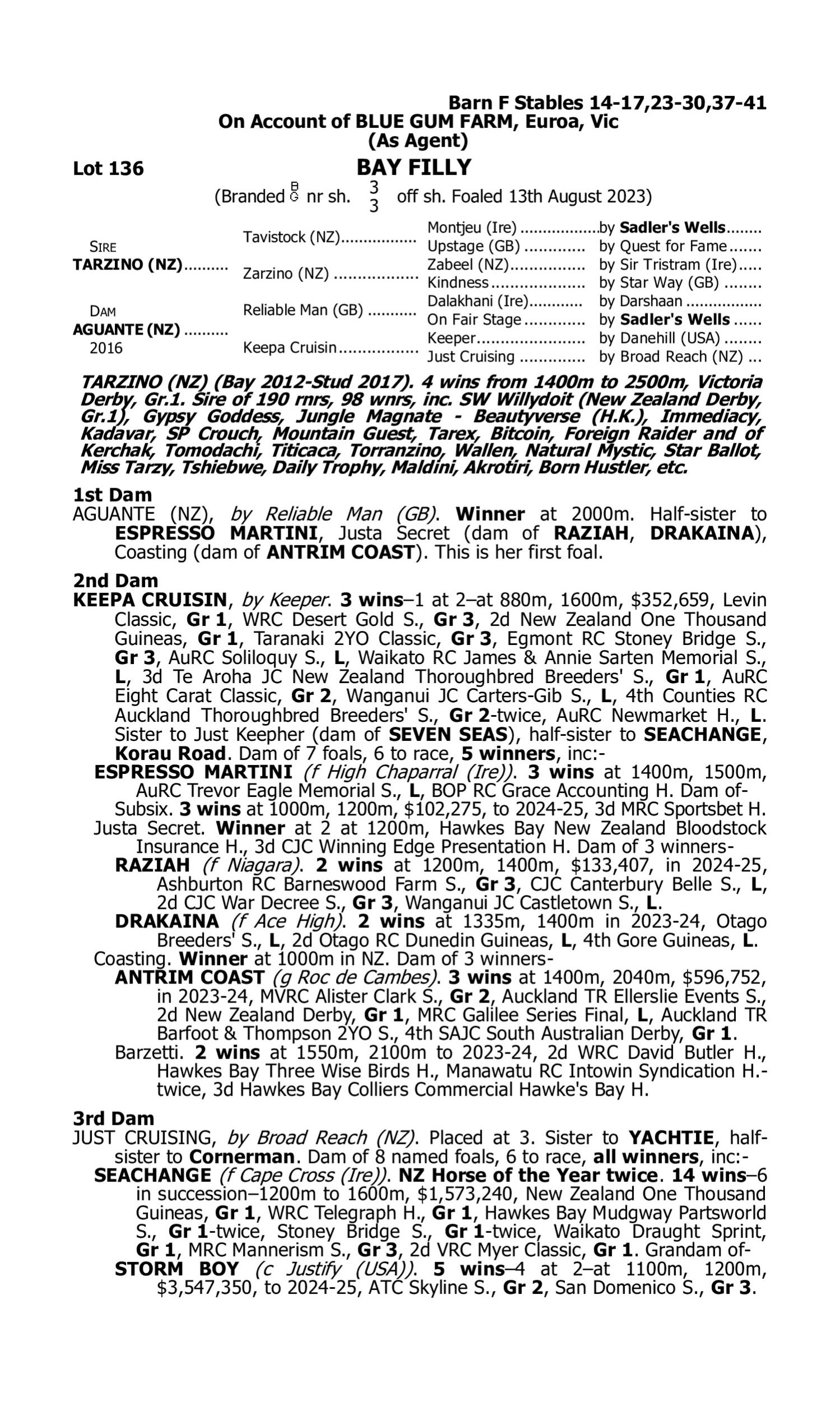Pedigree for Lot 136 Tarzino (NZ) - Aguante (NZ)