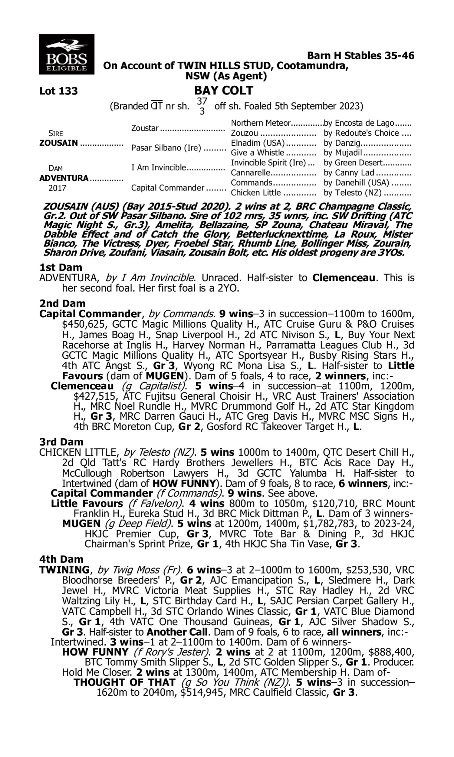 Pedigree for Lot 133 Zousain - Adventura