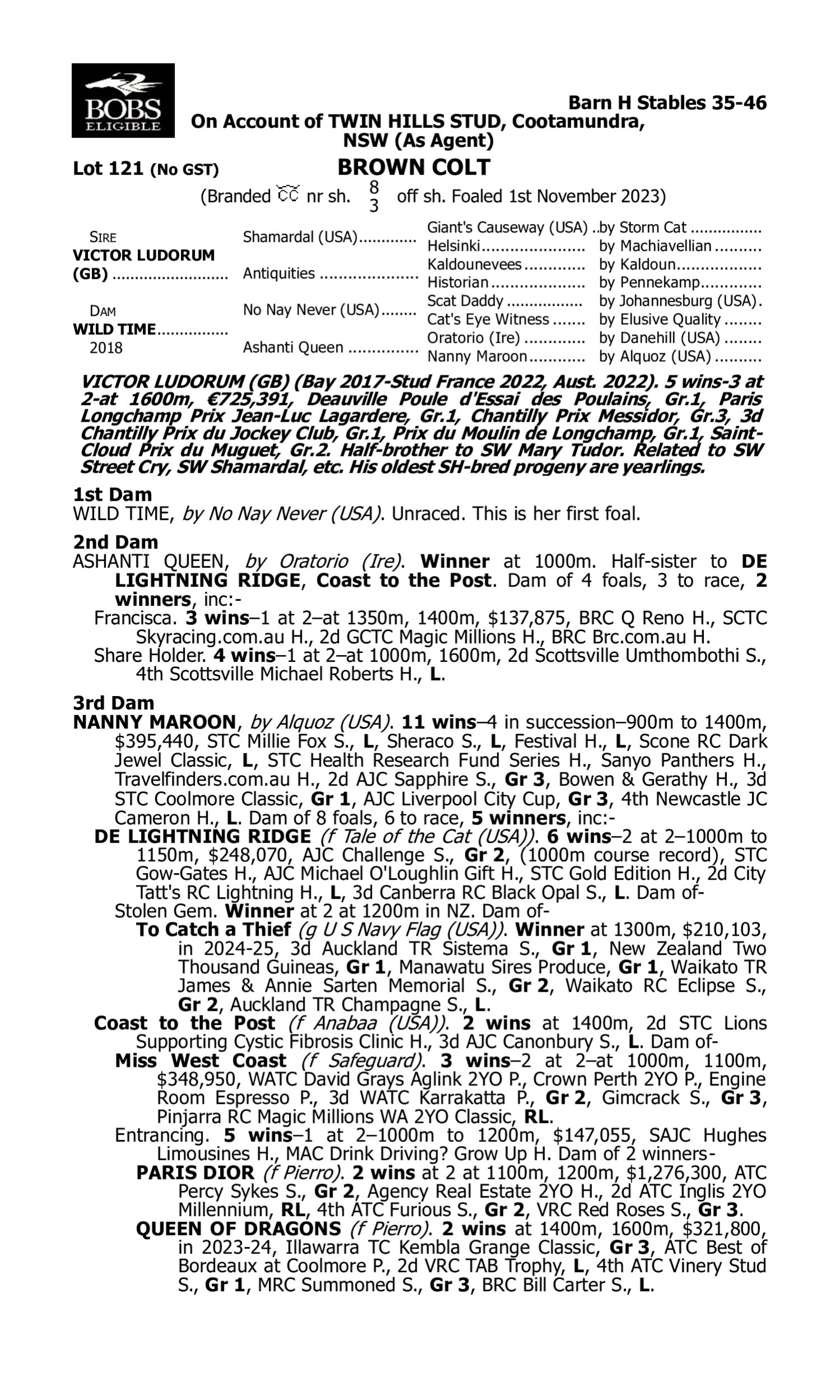 Pedigree for Lot 121 Victor Ludorum (GB) - Wild Time