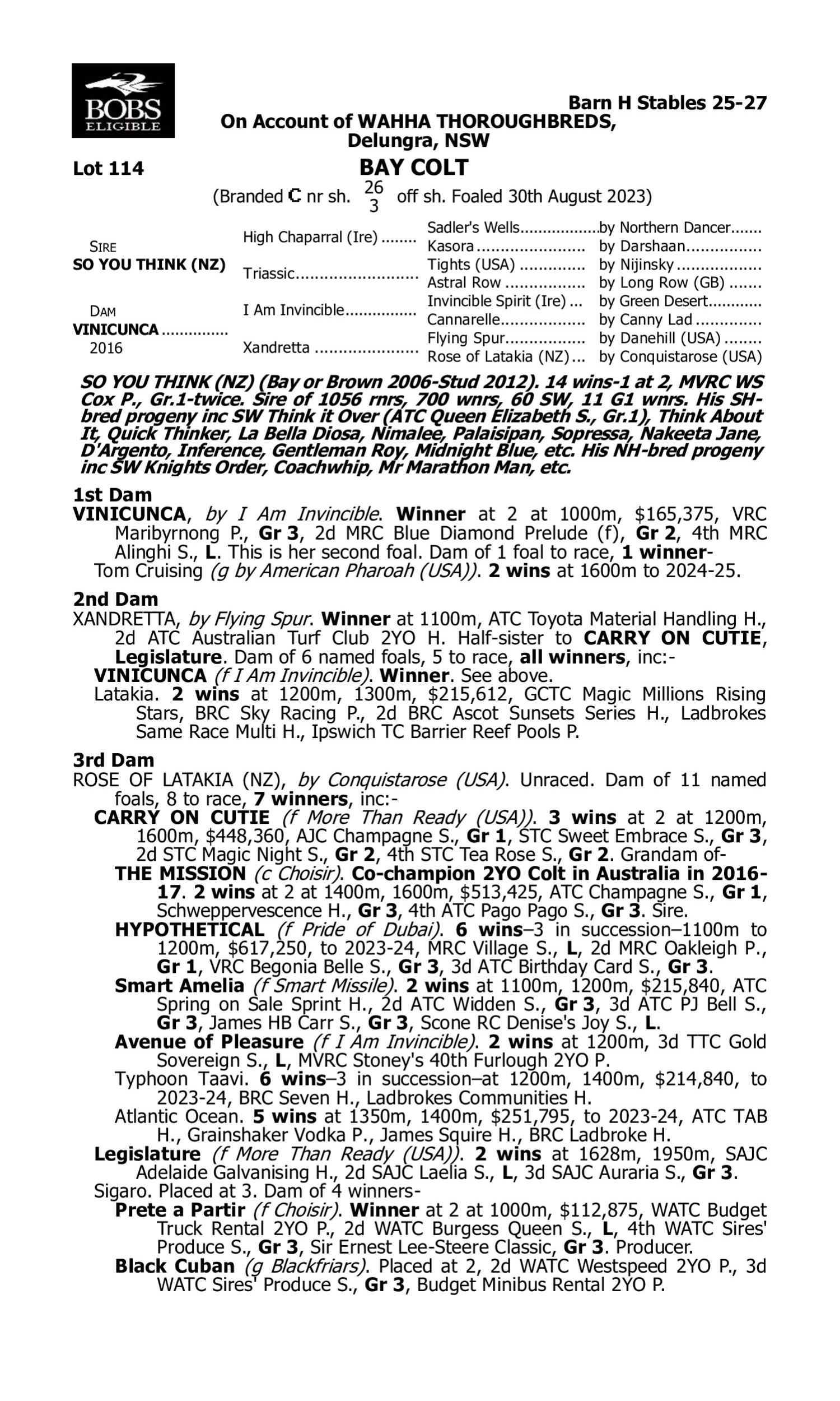 Pedigree for Lot 114 So You Think (NZ) - Vinicunca