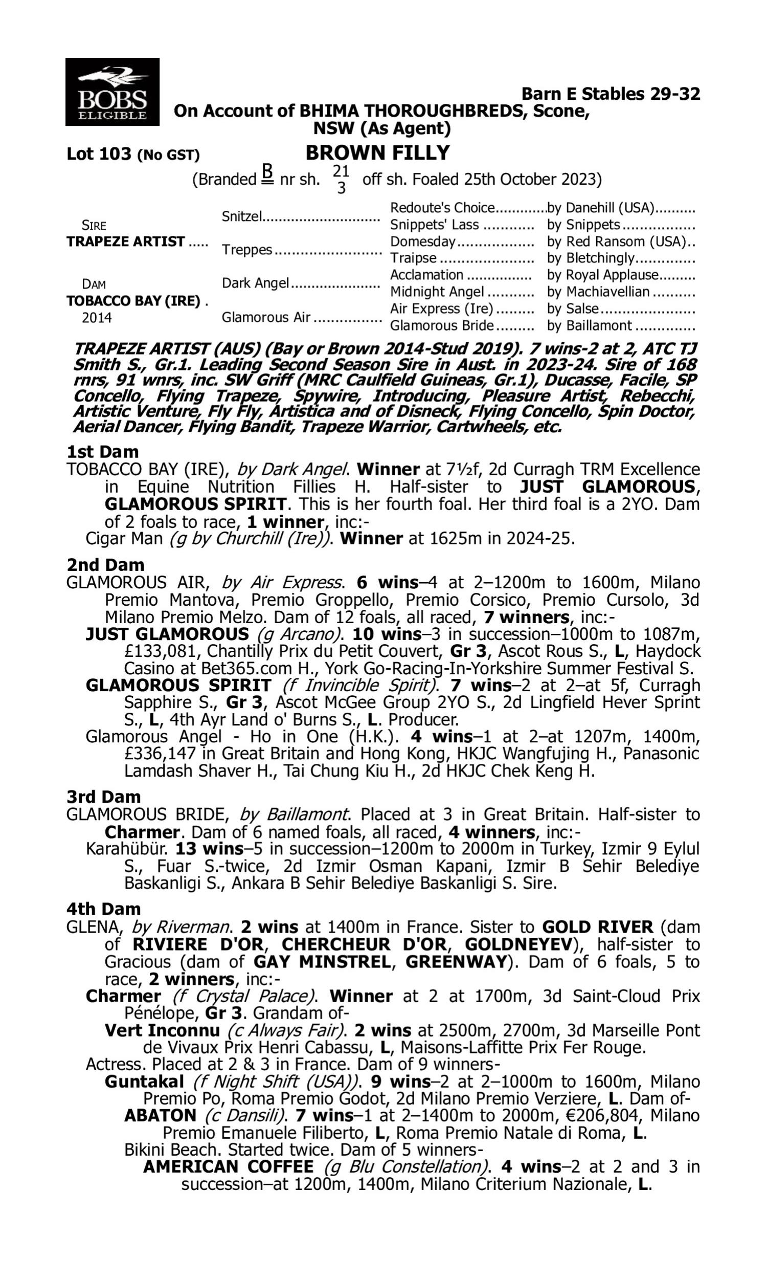 Pedigree for Lot 103 Trapeze Artist - Tobacco Bay (IRE)