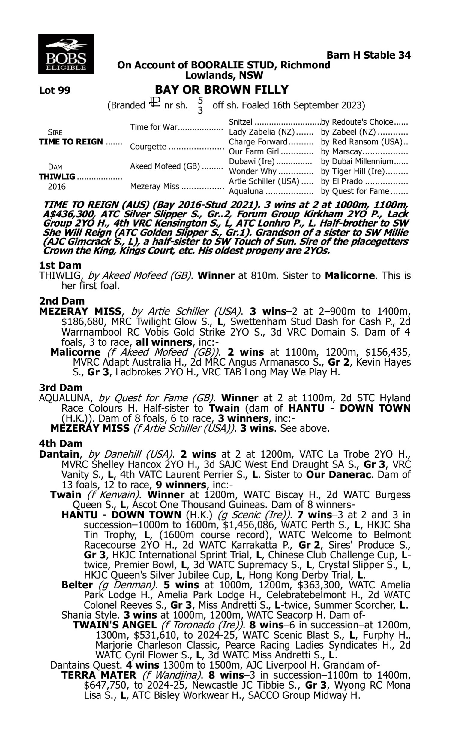 Pedigree for Lot 99 Time to Reign - Thiwlig