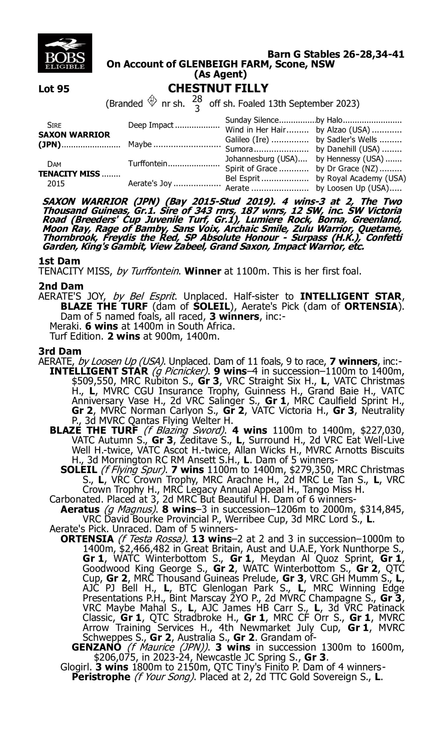 Pedigree for Lot 95 Saxon Warrior (JPN) - Tenacity Miss