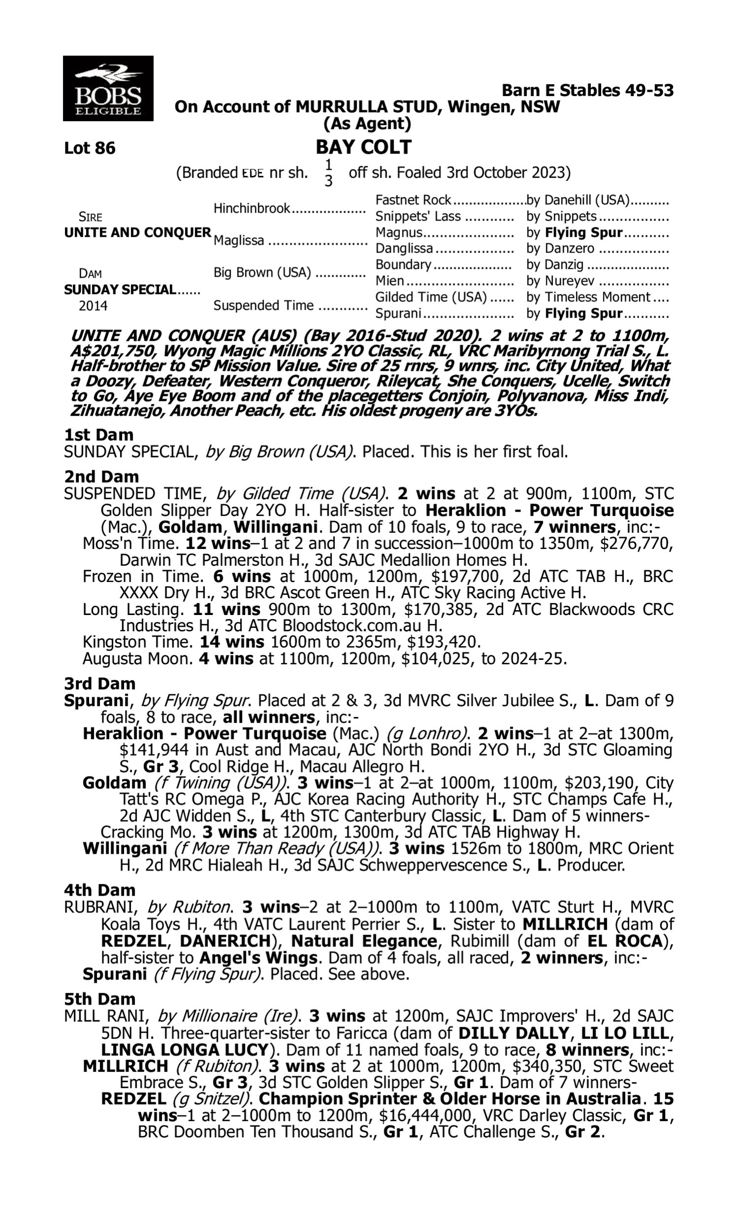 Pedigree for Lot 86 Unite and Conquer - Sunday Special