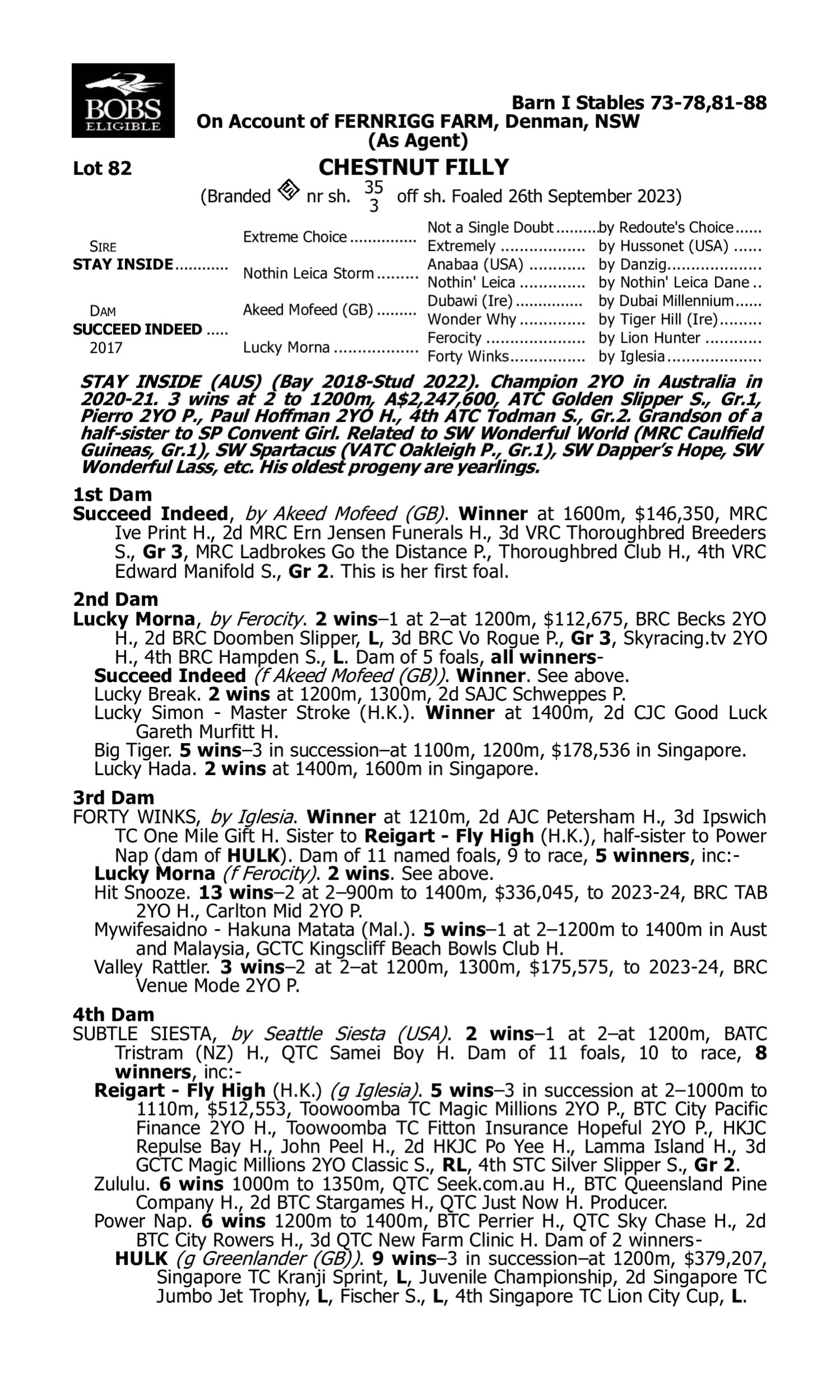 Pedigree for Lot 82 Stay Inside - Succeed Indeed