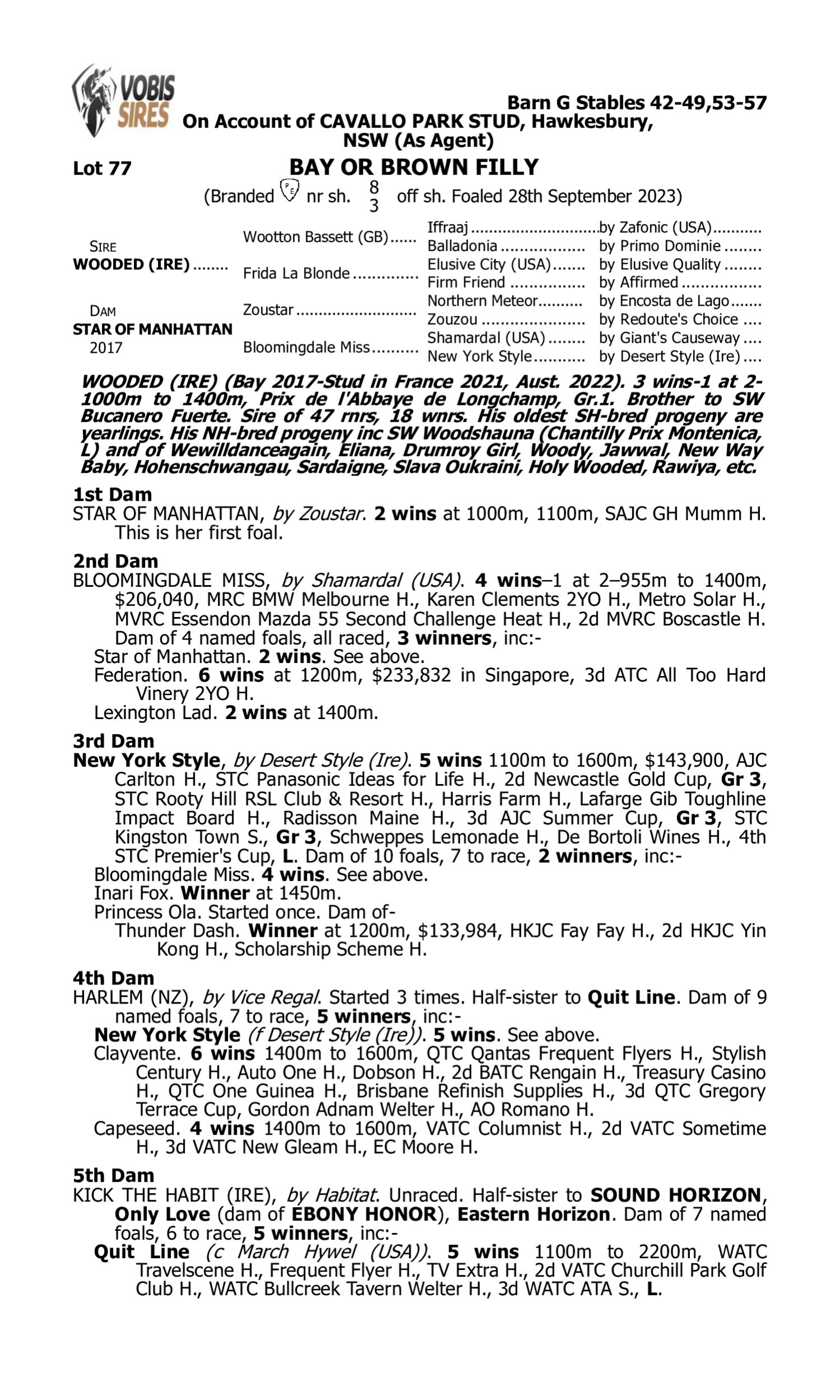 Pedigree for Lot 77 Wooded (IRE) - Star of Manhattan