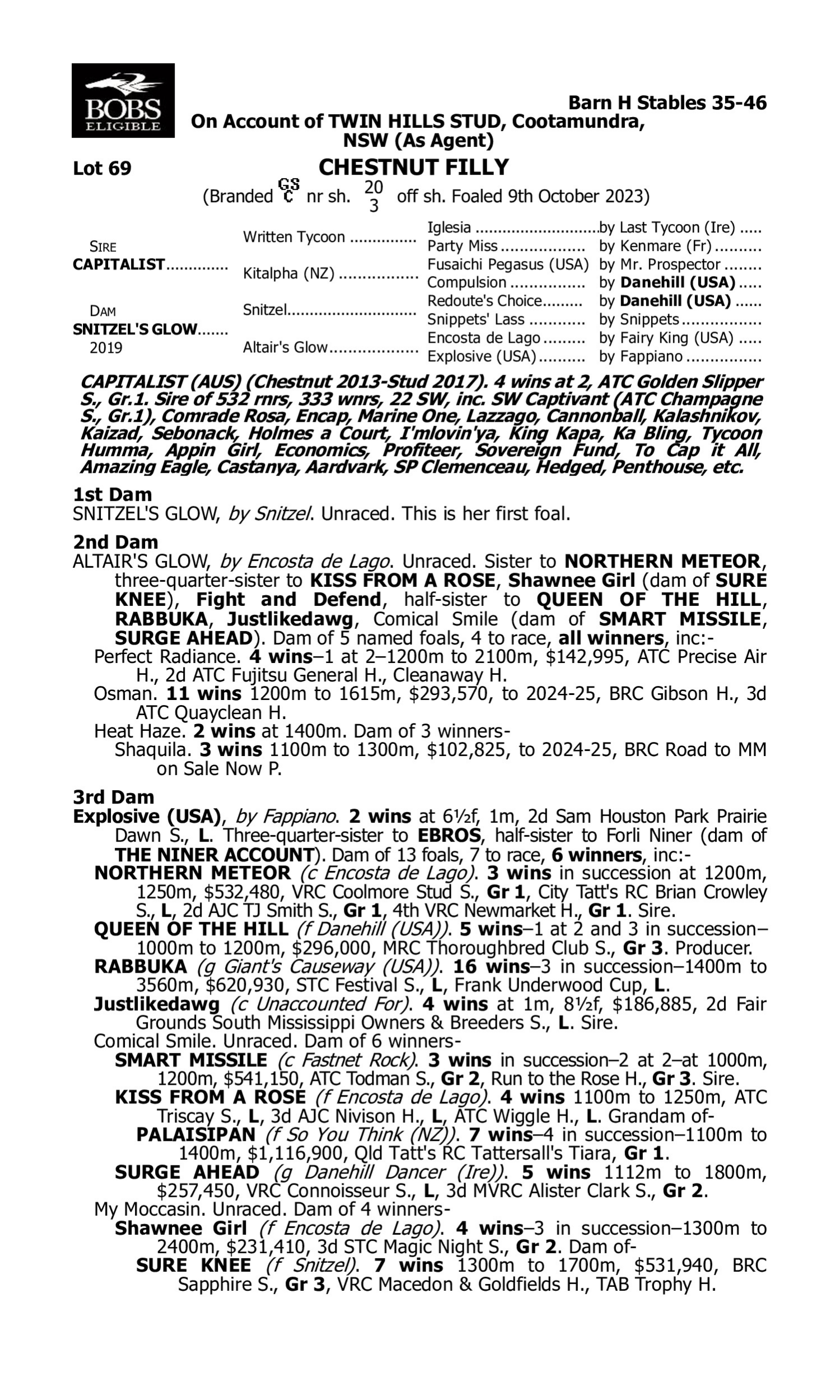 Pedigree for Lot 69 Capitalist - Snitzel's Glow