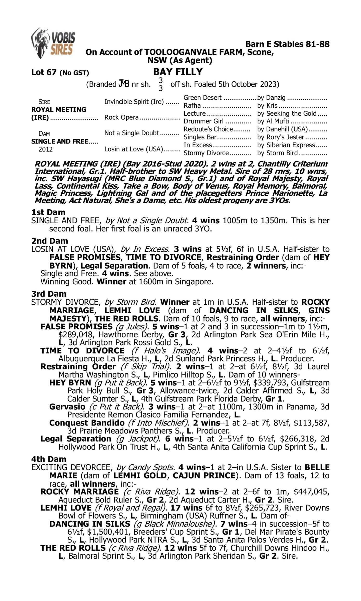 Pedigree for Lot 67 Royal Meeting (IRE) - Single and Free
