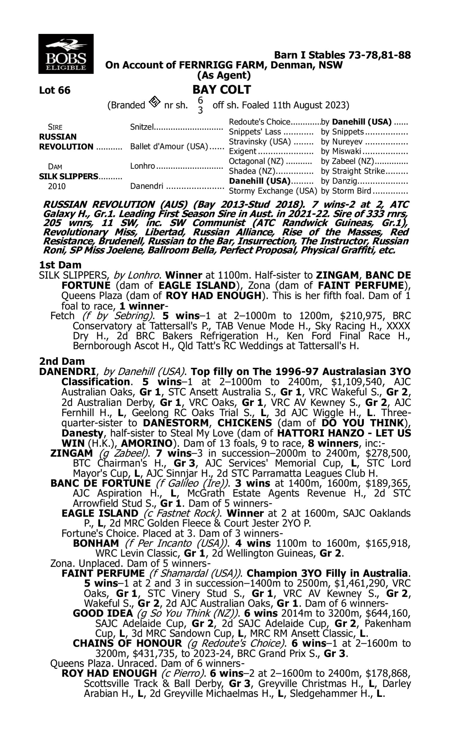 Pedigree for Lot 66 Russian Revolution - Silk Slippers