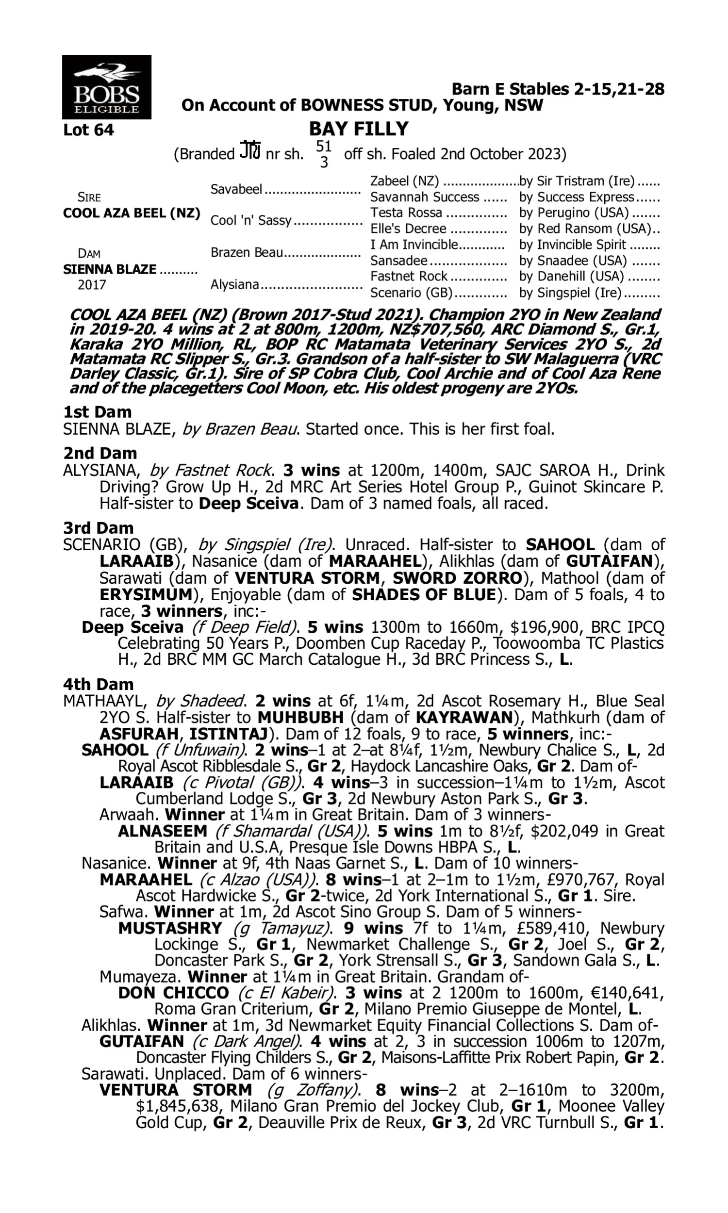 Pedigree for Lot 64 Cool Aza Beel (NZ) - Sienna Blaze