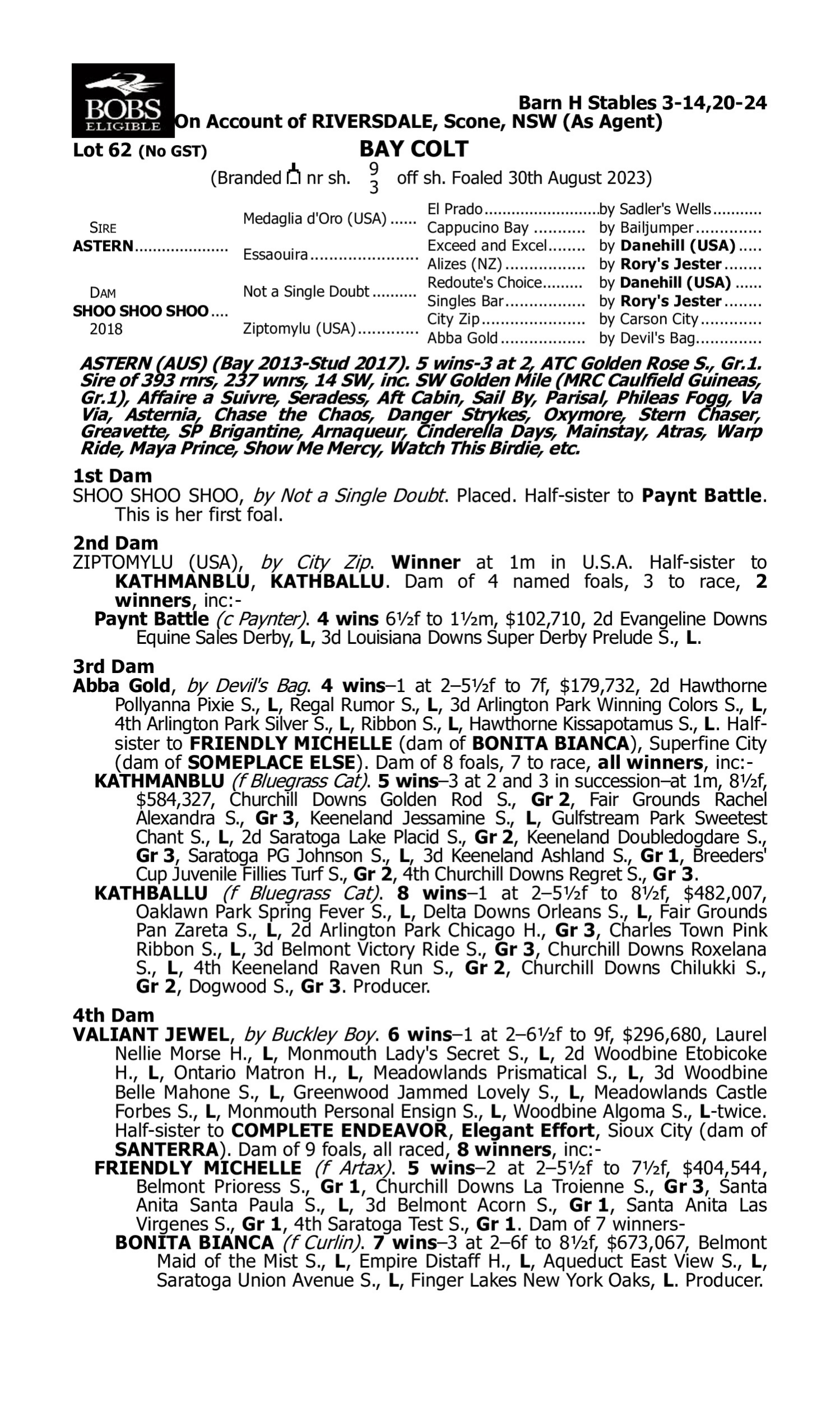 Pedigree for Lot 62 Astern - Shoo Shoo Shoo
