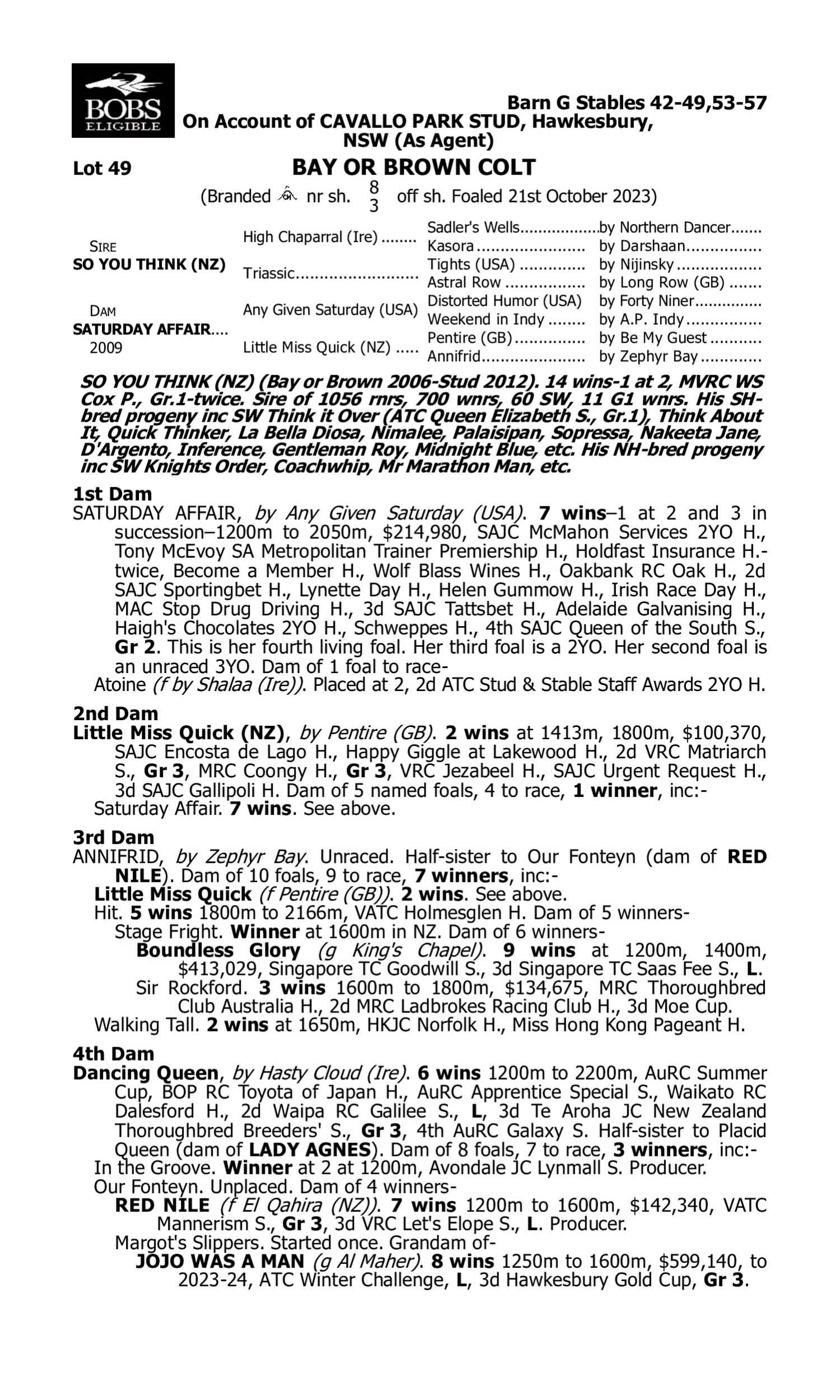Pedigree for Lot 49 So You Think (NZ) - Saturday Affair