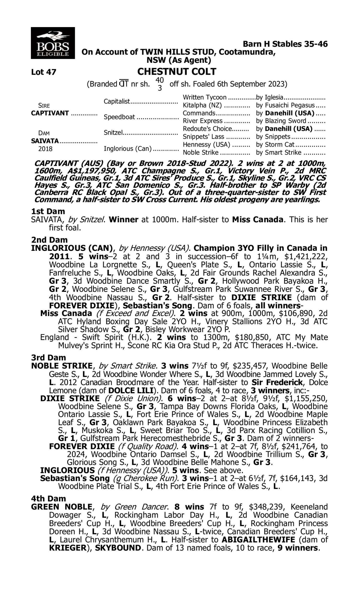 Pedigree for Lot 47 Captivant - Saivata