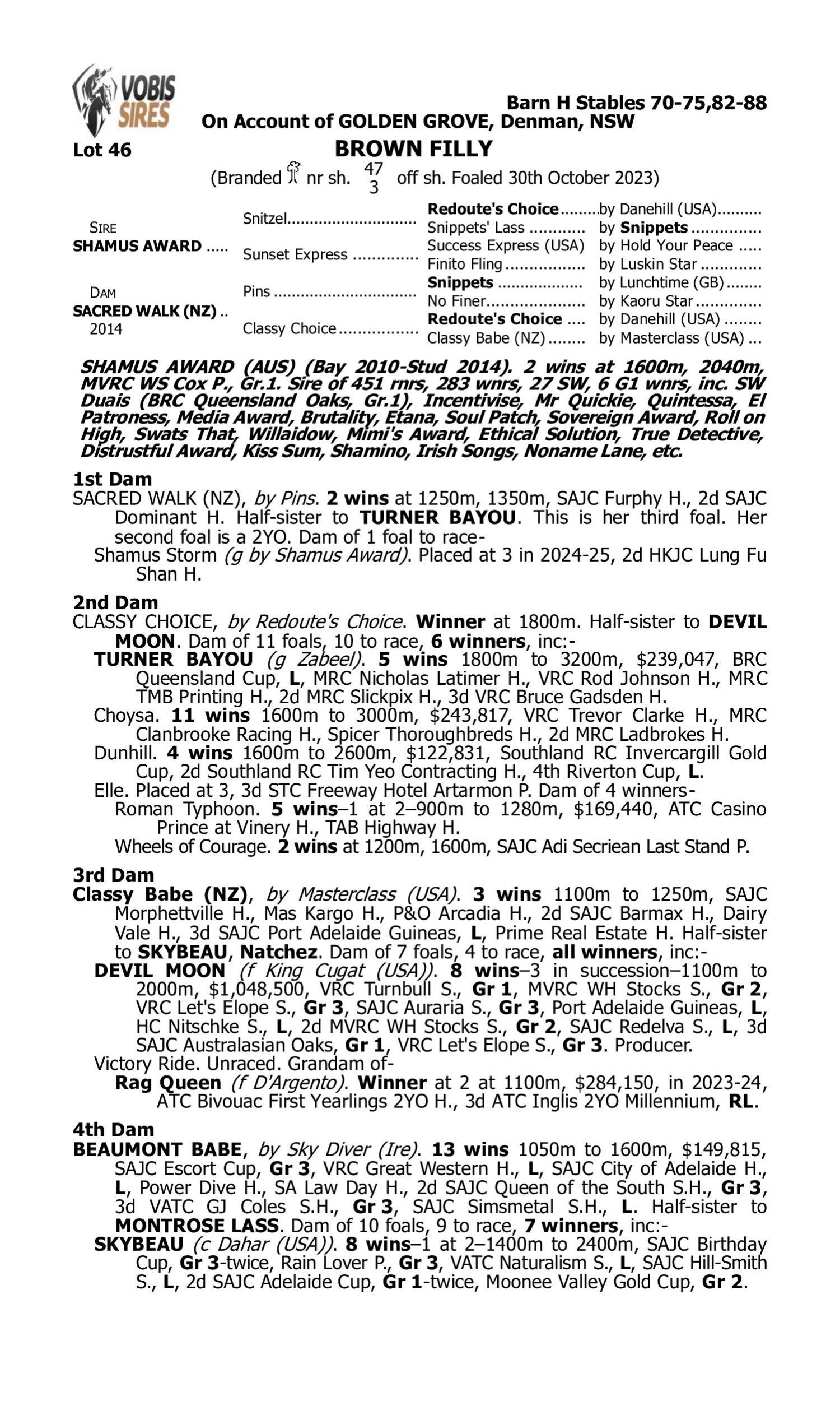 Pedigree for Lot 46 Shamus Award - Sacred Walk (NZ)