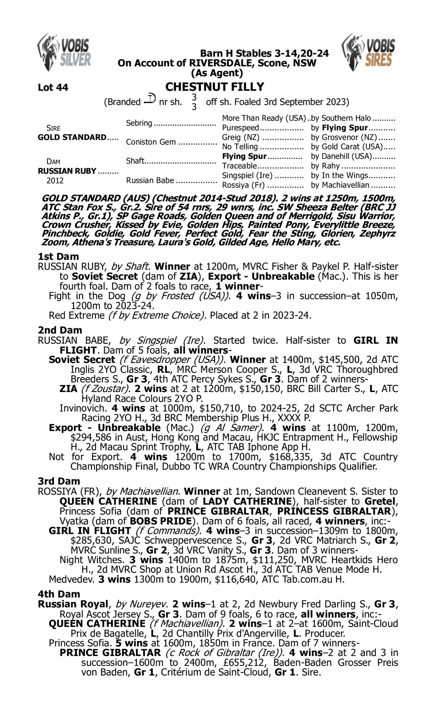 Pedigree for Lot 44 Gold Standard - Russian Ruby