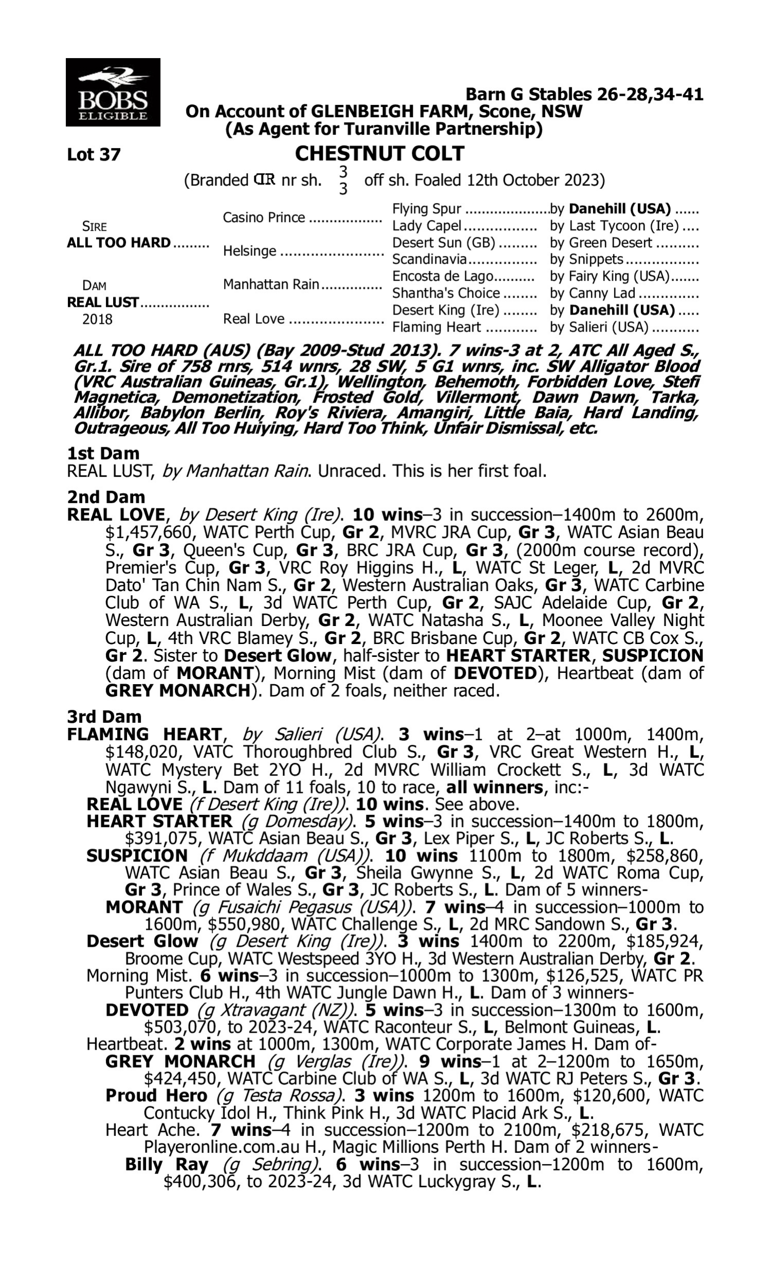 Pedigree for Lot 37 All Too Hard - Real Lust