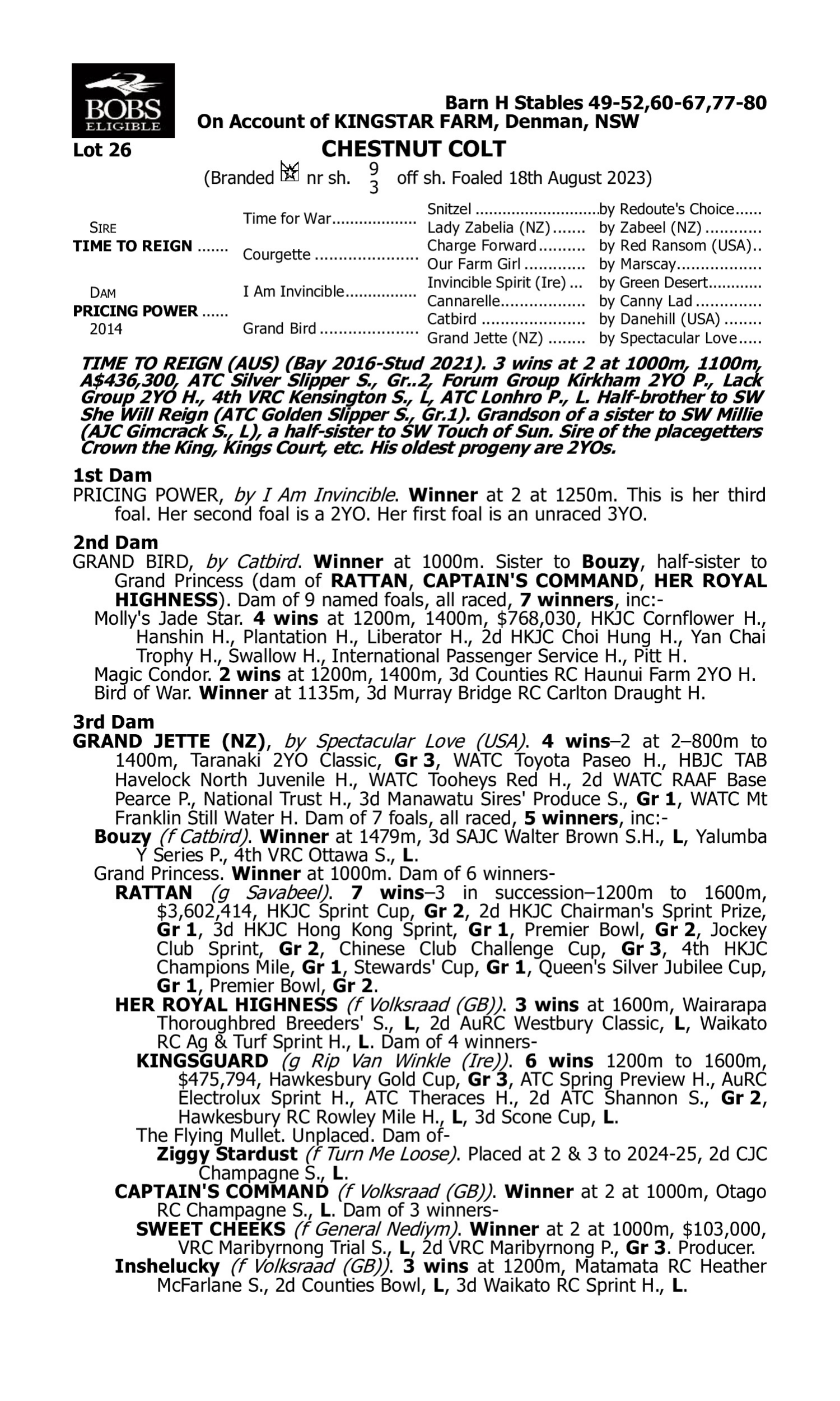 Pedigree for Lot 26 Time to Reign - Pricing Power