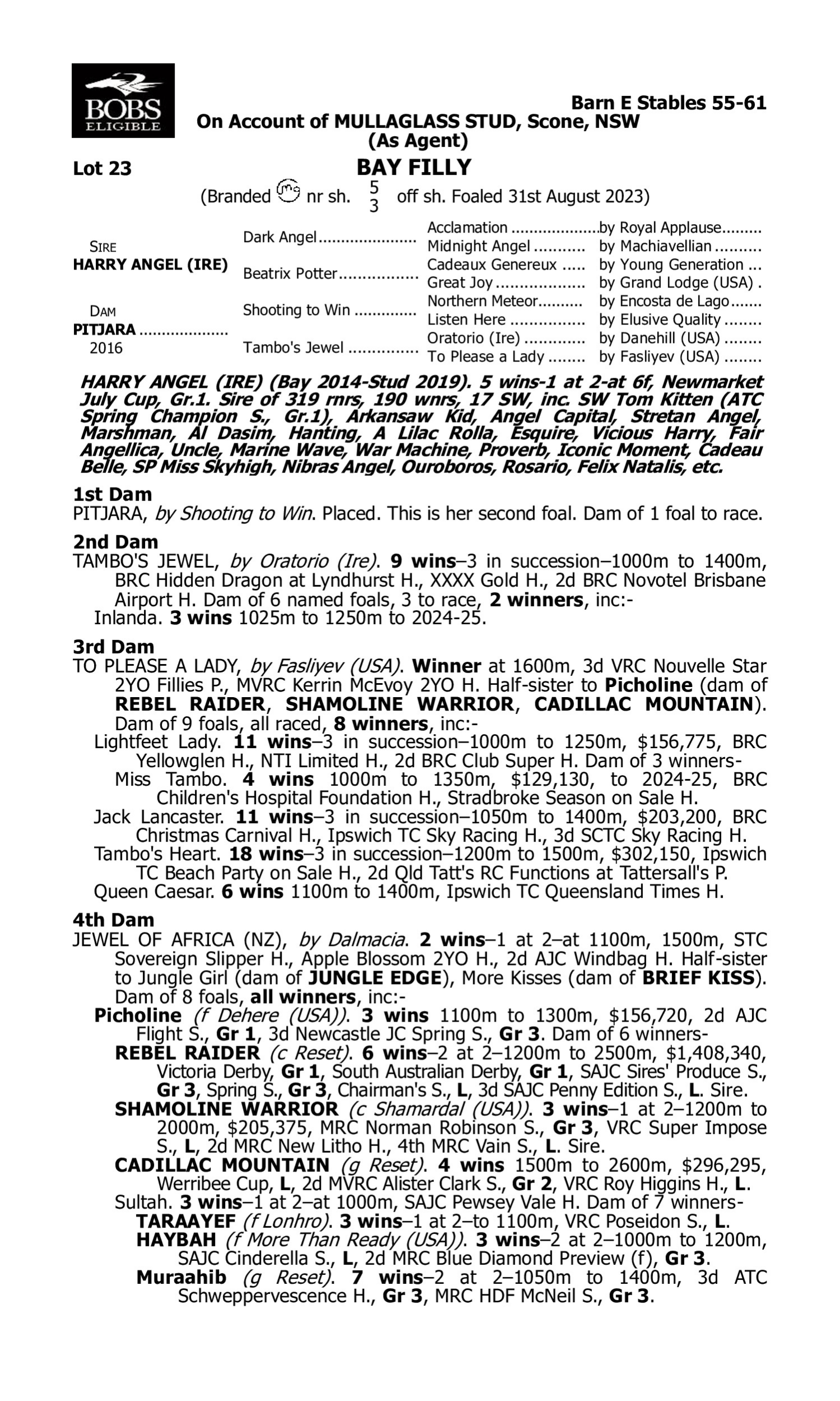 Pedigree for Lot 23 Harry Angel (IRE) - Pitjara