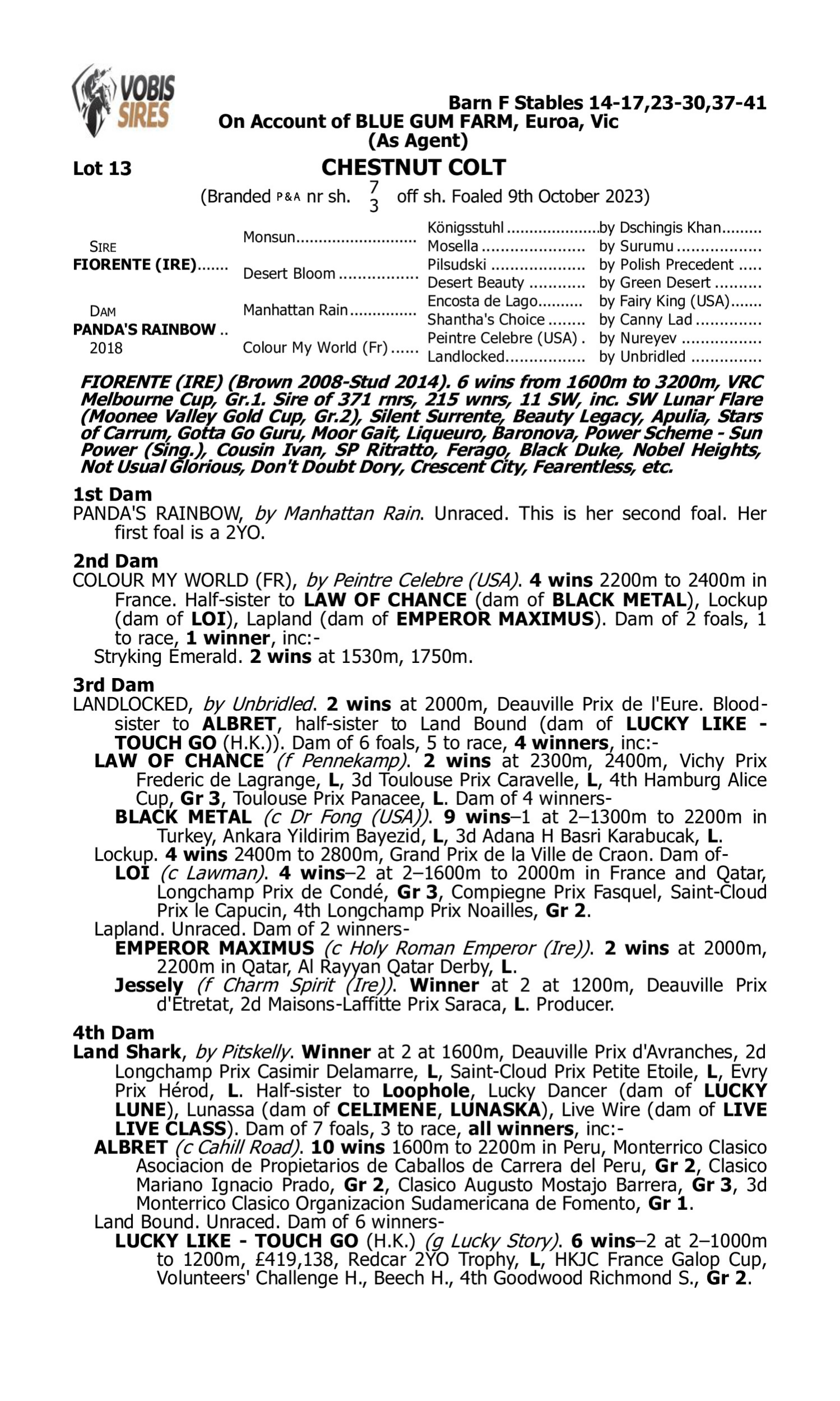 Pedigree for Lot 13 Fiorente (IRE) - Panda's Rainbow