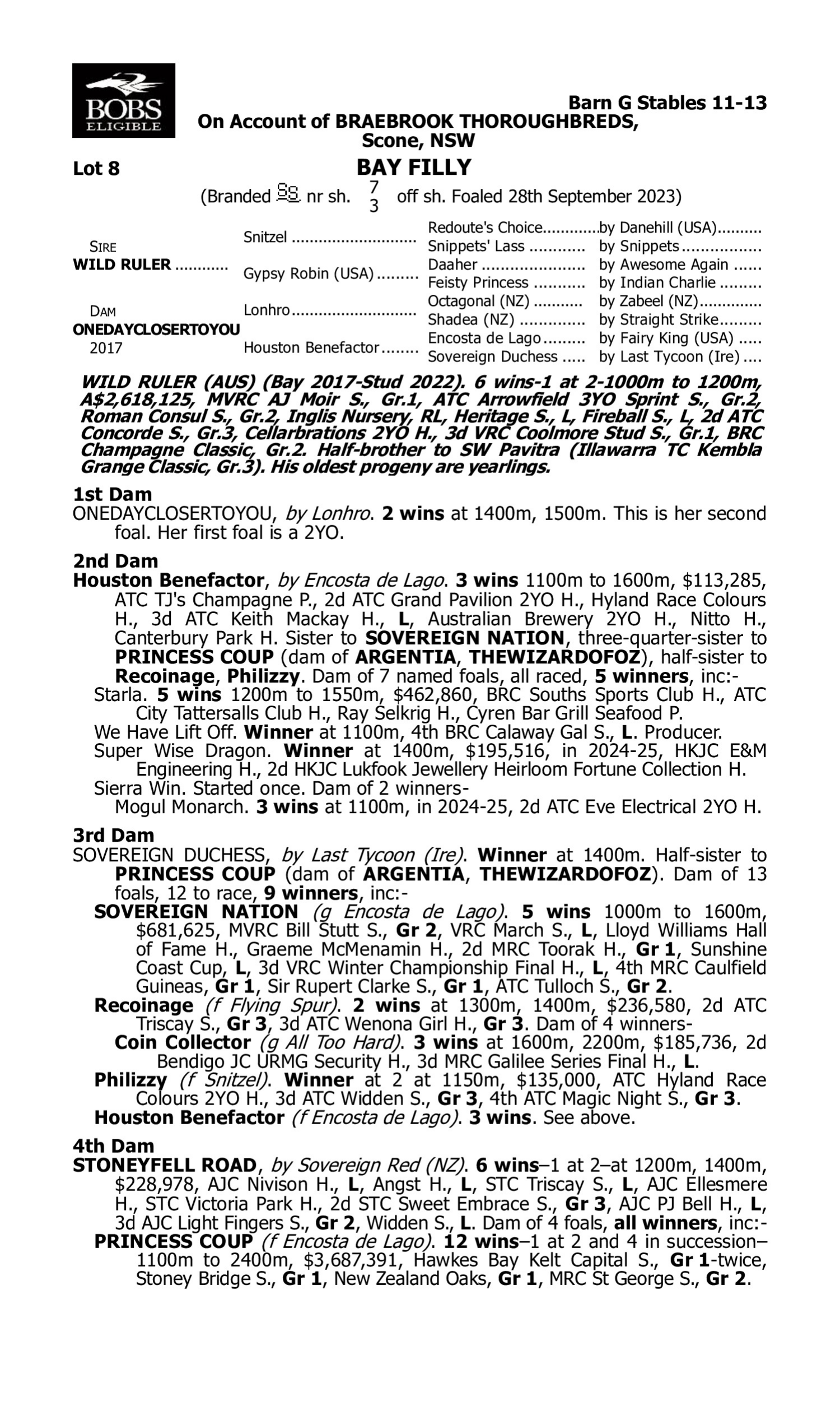 Pedigree for Lot 8 Wild Ruler - Onedayclosertoyou