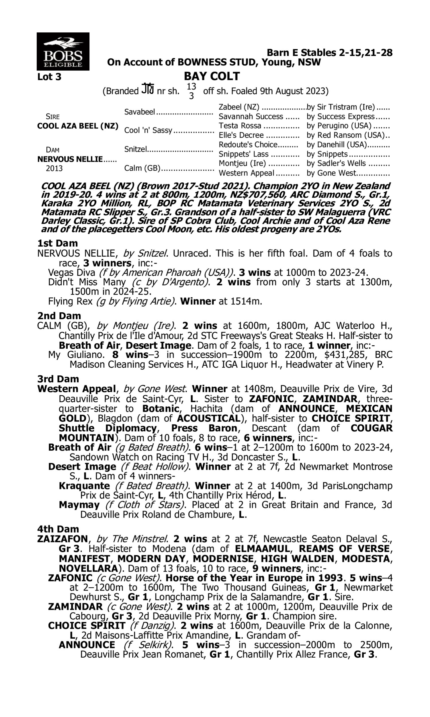 Pedigree for Lot 3 Cool Aza Beel (NZ) - Nervous Nellie