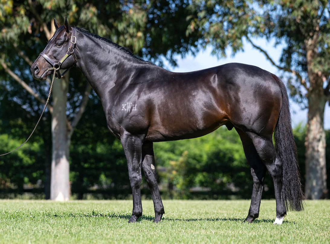 Canning Downs dispersal confirmed for March (Late) Online Sale