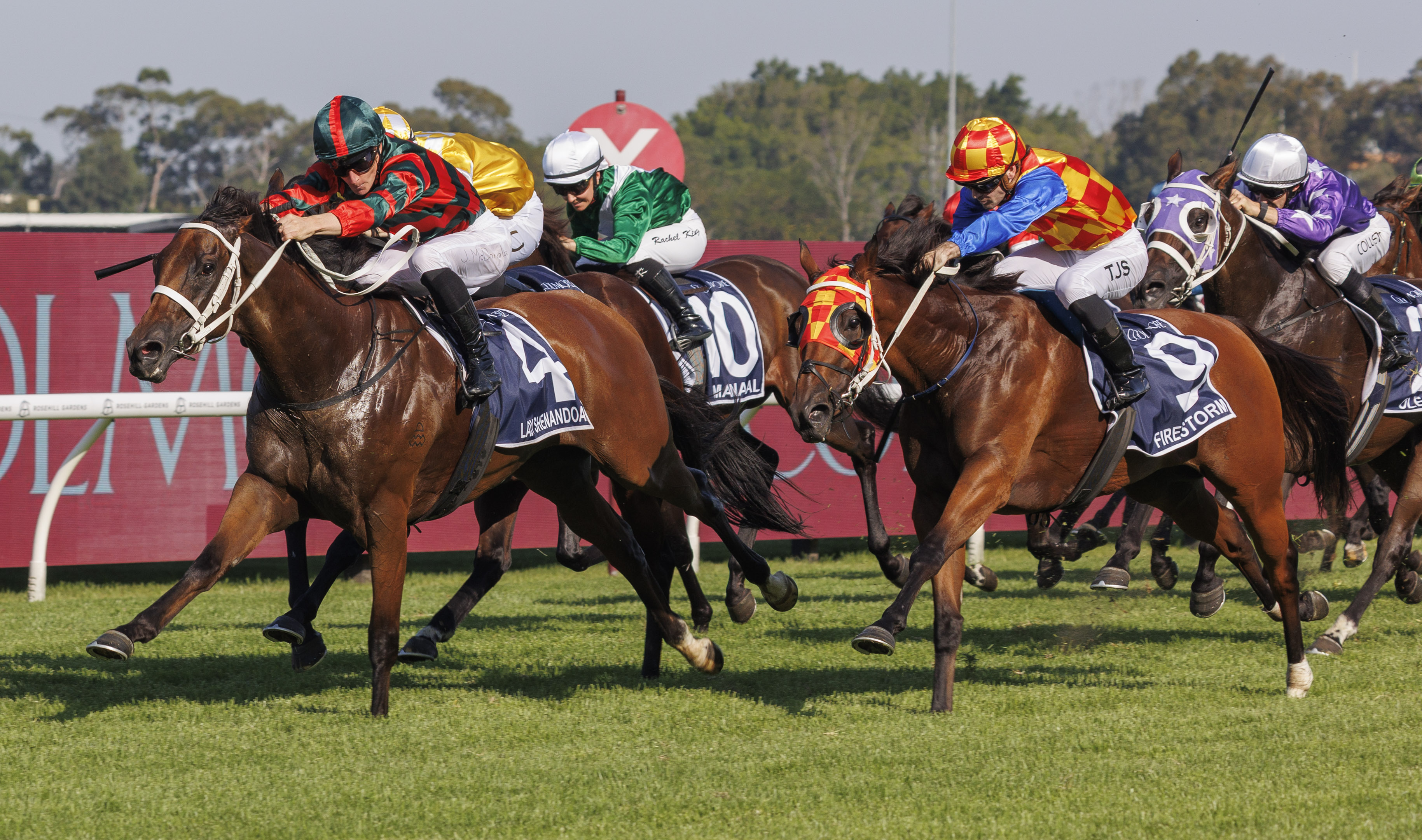 Lady Shenandoah wins a third G1 from just 7 starts!