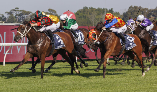 Lady Shenandoah wins a third G1 from just 7 starts!
