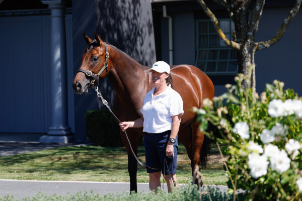 Lot 353: I Am Invincible / Eleonora (NZ)