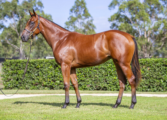 Lot 70: I Am Invincible / Missile Mantra