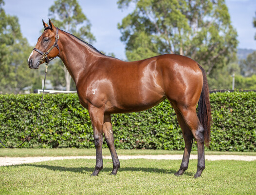 Lot 89: Stay Inside / Notting Hill