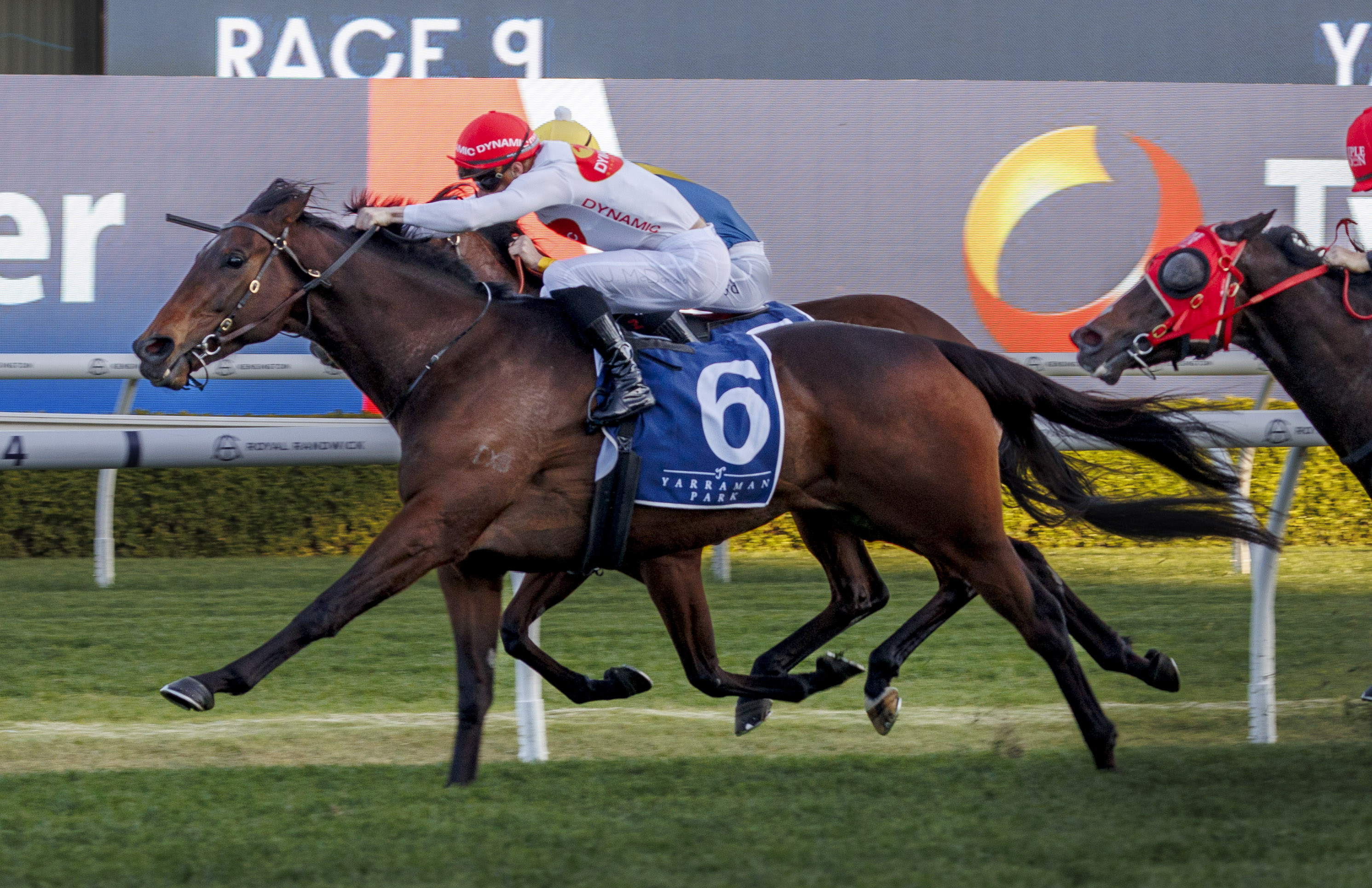 Record-breaker I Am Me confirmed for Chairman's Sale