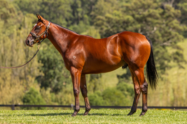 Lot 23: Deep Field / Lashes