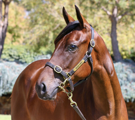 Lot 78: I Am Invincible / My Emotion (NZ)