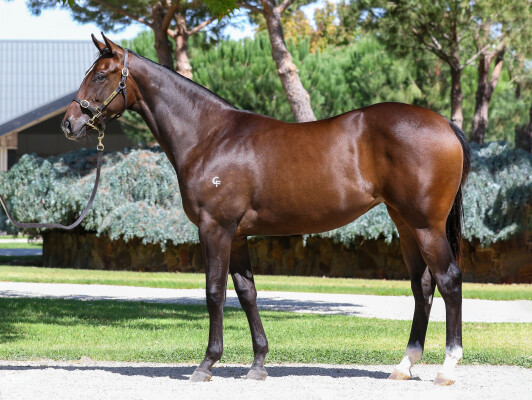 Lot 246: Ole Kirk / Vellor