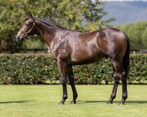 Lot 123: Wootton Bassett (GB) / Rippled (GB)