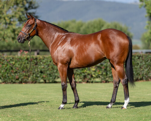 Lot 143: Too Darn Hot (GB) / Seasons