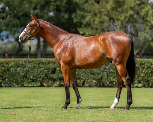 Lot 165: Stay Inside / Silent Surround